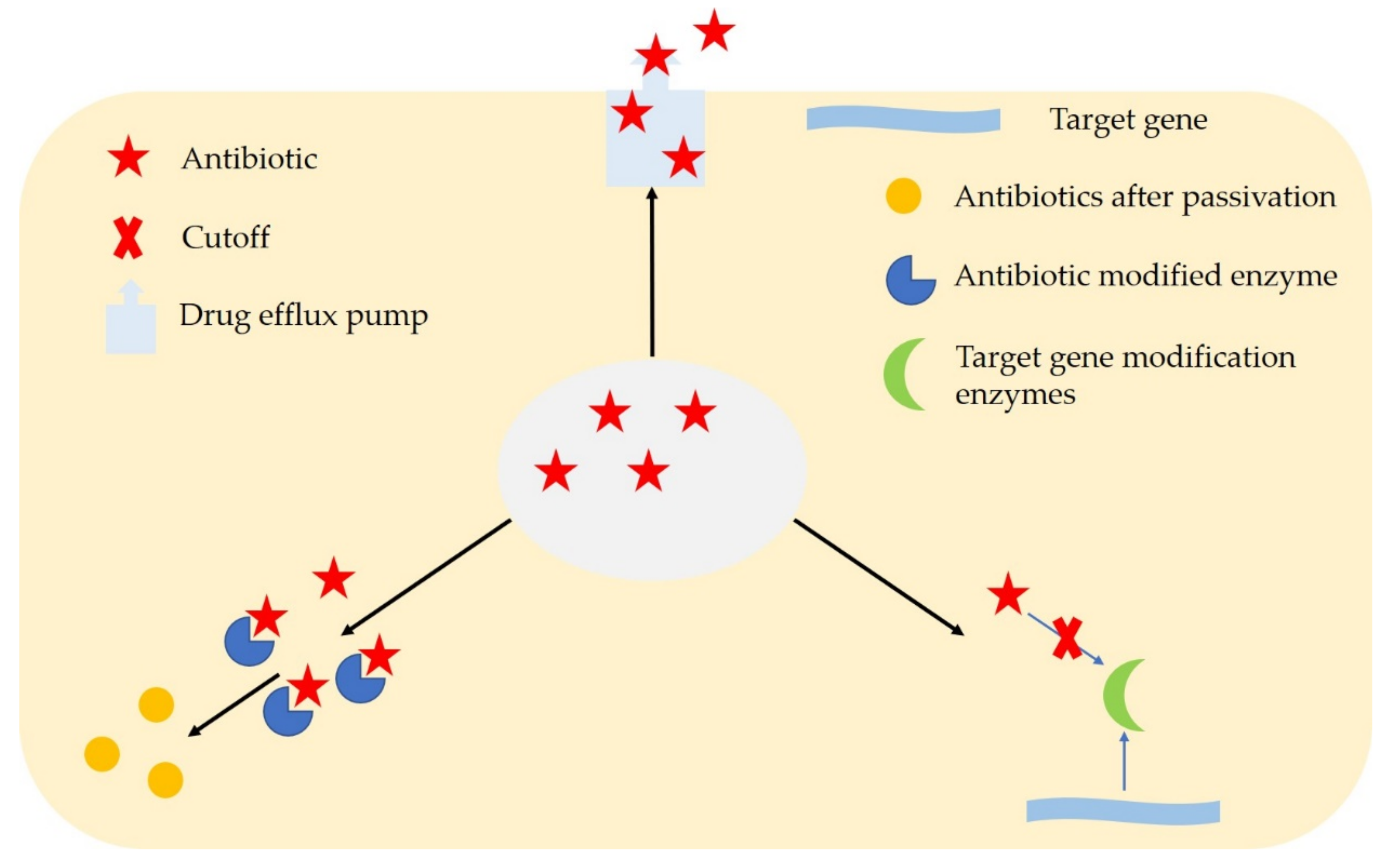 Quorum-Sensing Regulation of Antimicrobial Resistance in Bacteria
