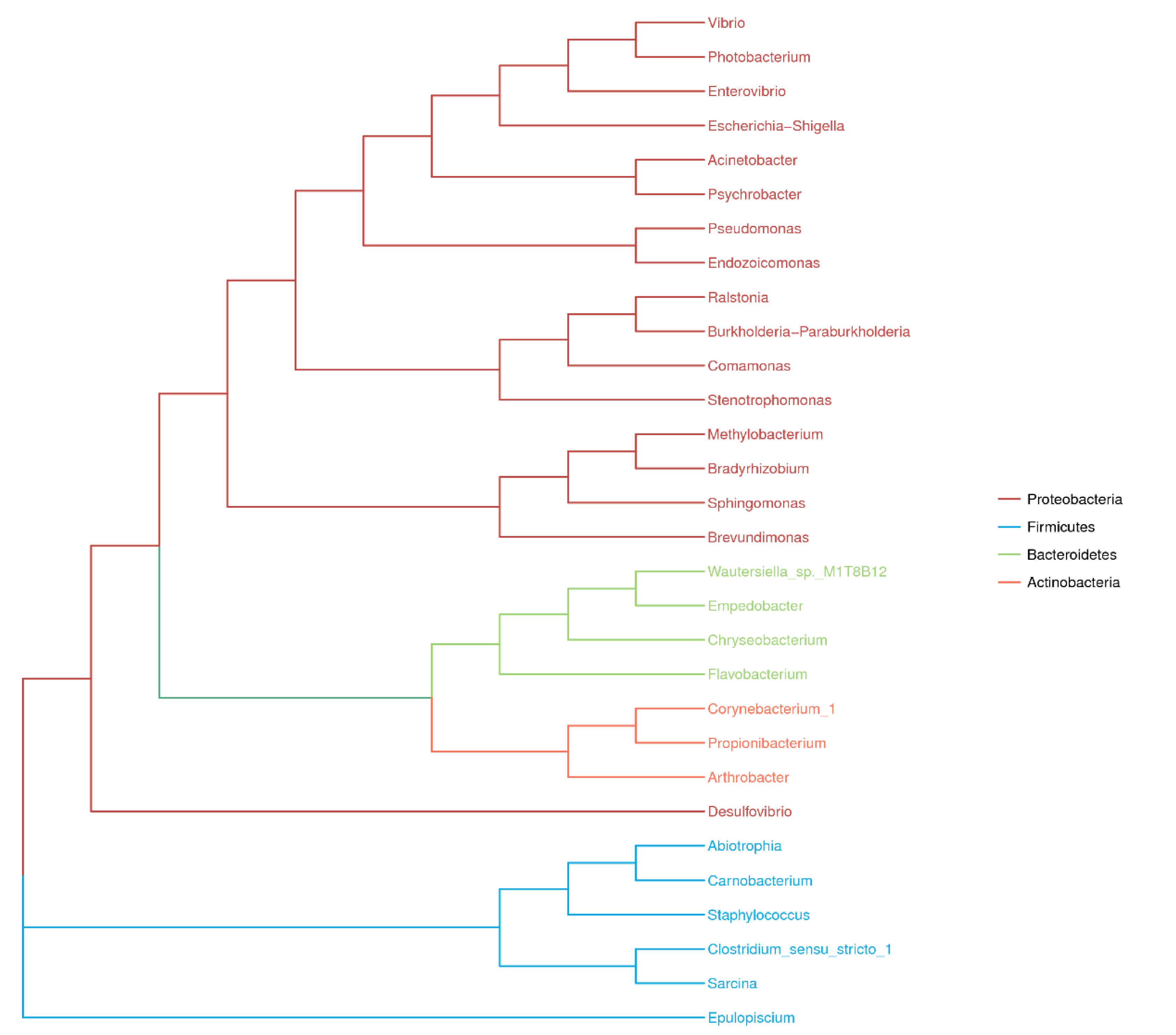 Microorganisms 08 00426 g005 Microorganisms 08 00426 g005