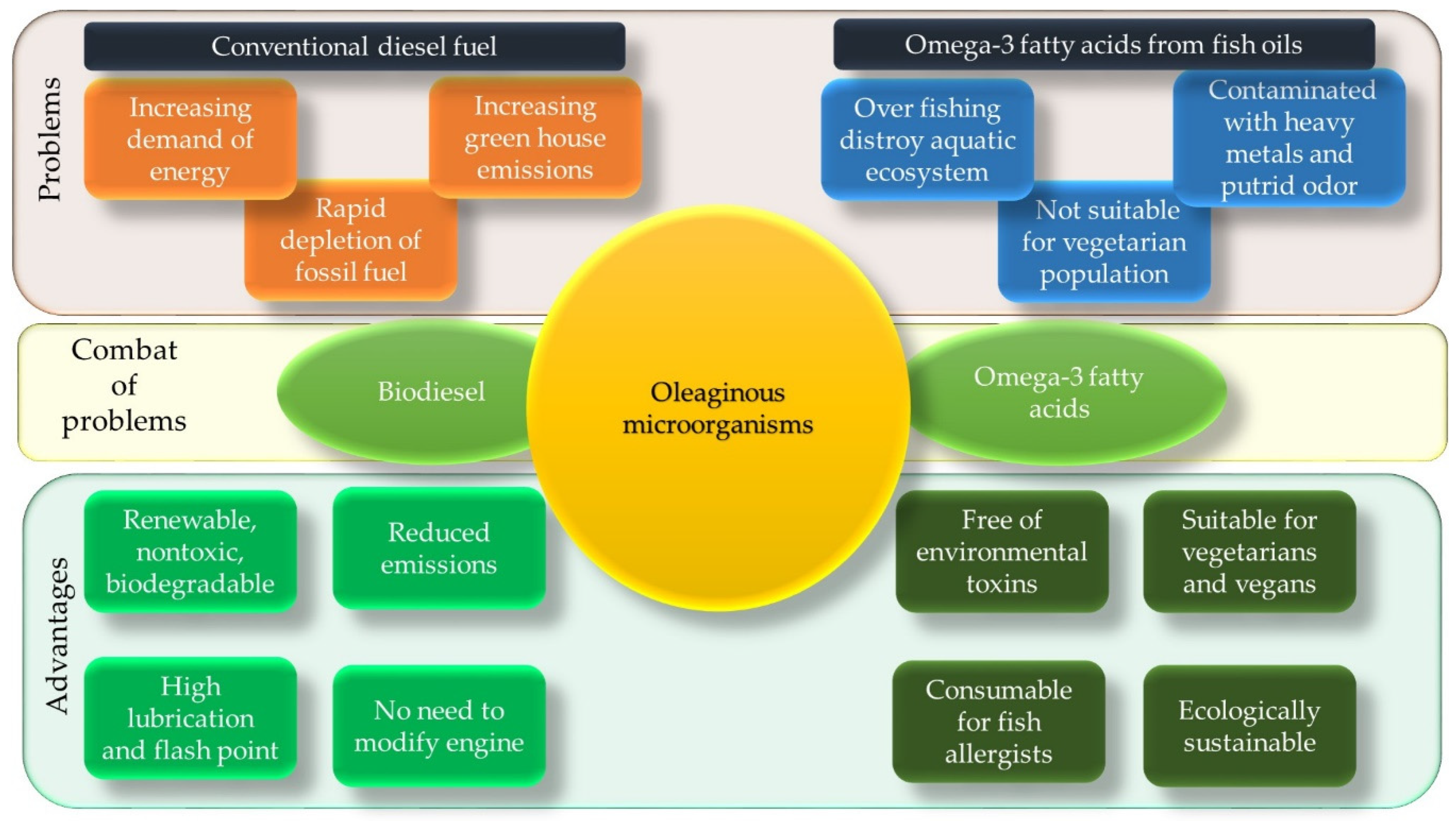 Microorganisms Free Full Text An Overview Of Potential Oleaginous Microorganisms And Their Role In Biodiesel And Omega 3 Fatty Acid Based Industries Html