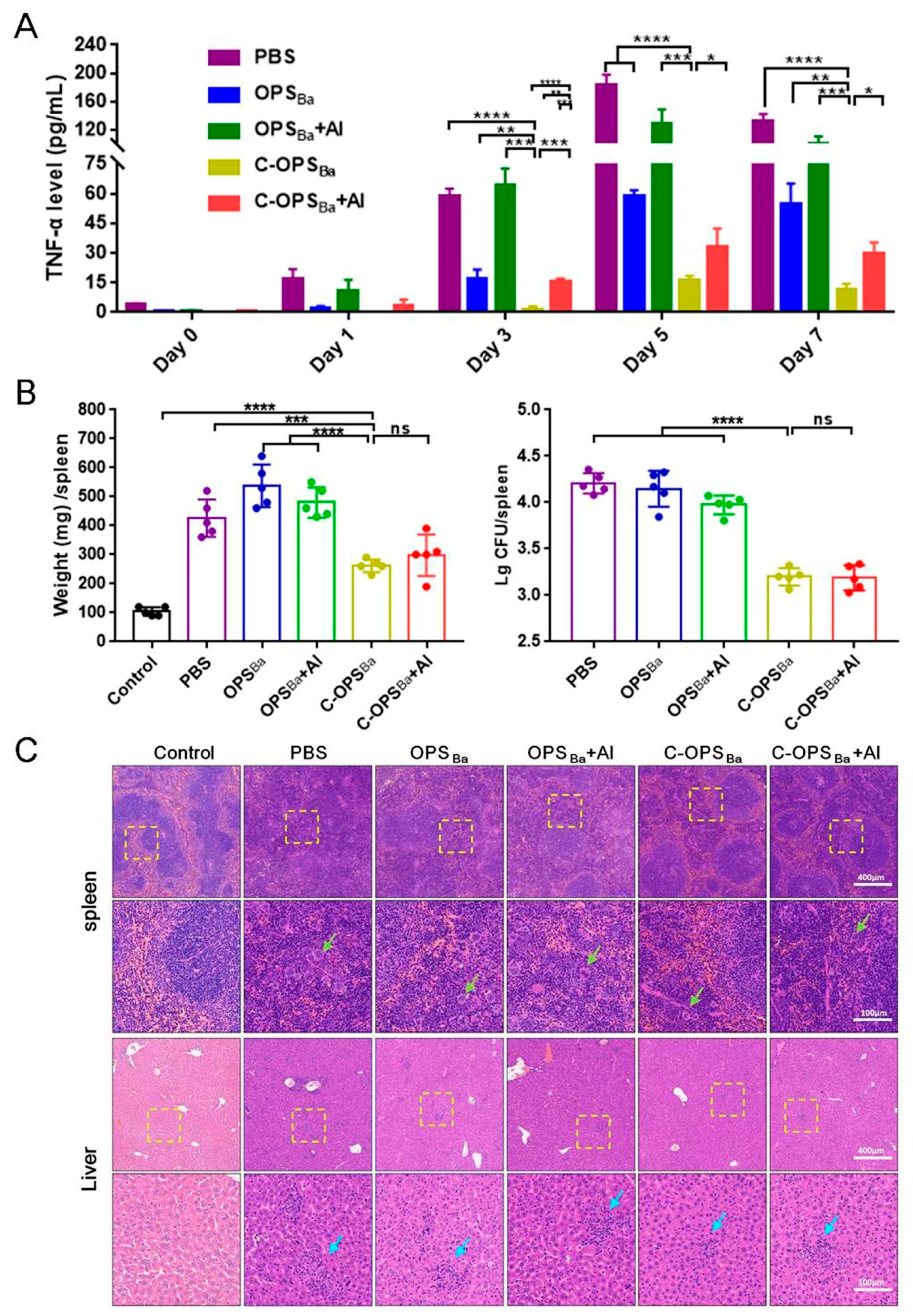 Microorganisms 08 00436 g003