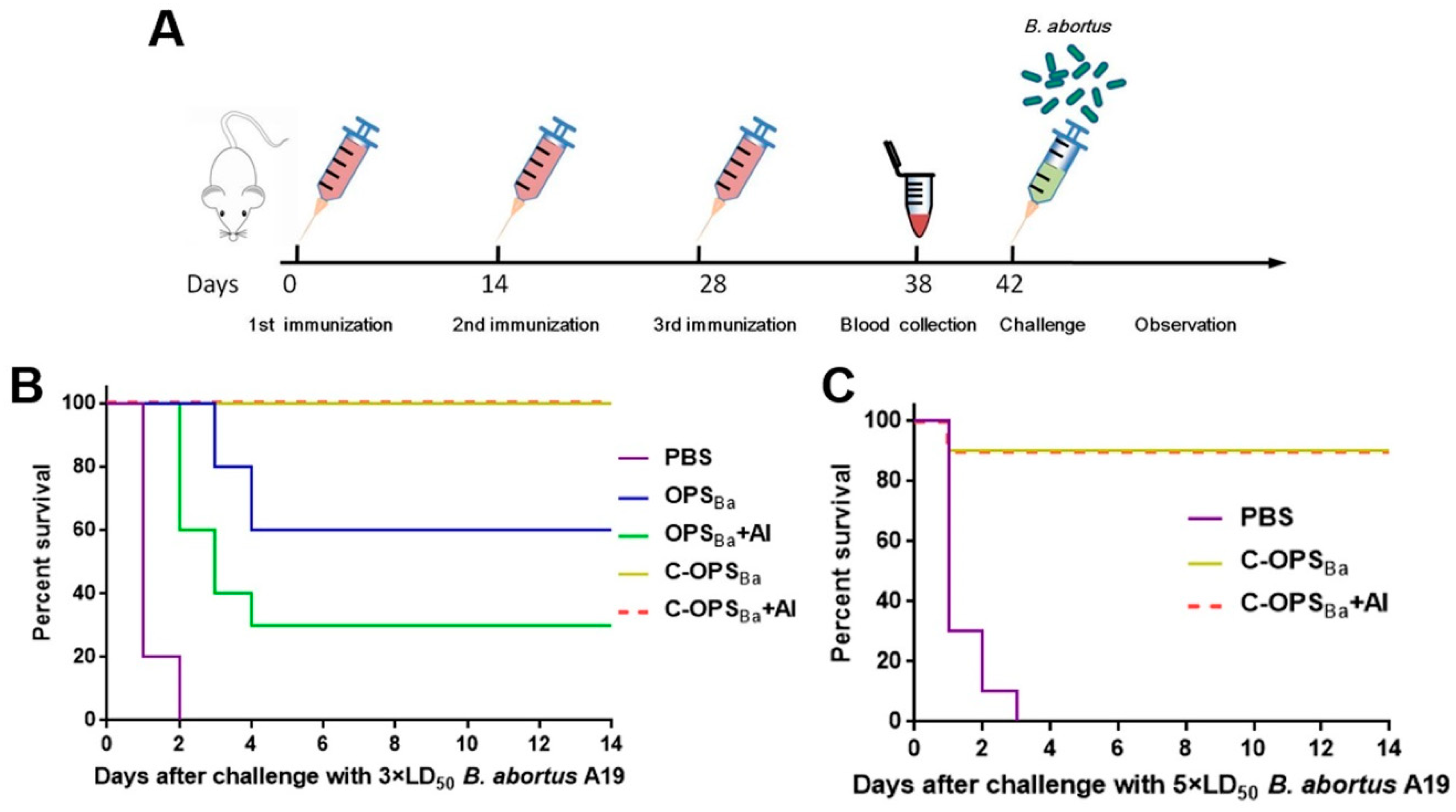 Microorganisms 08 00436 g004