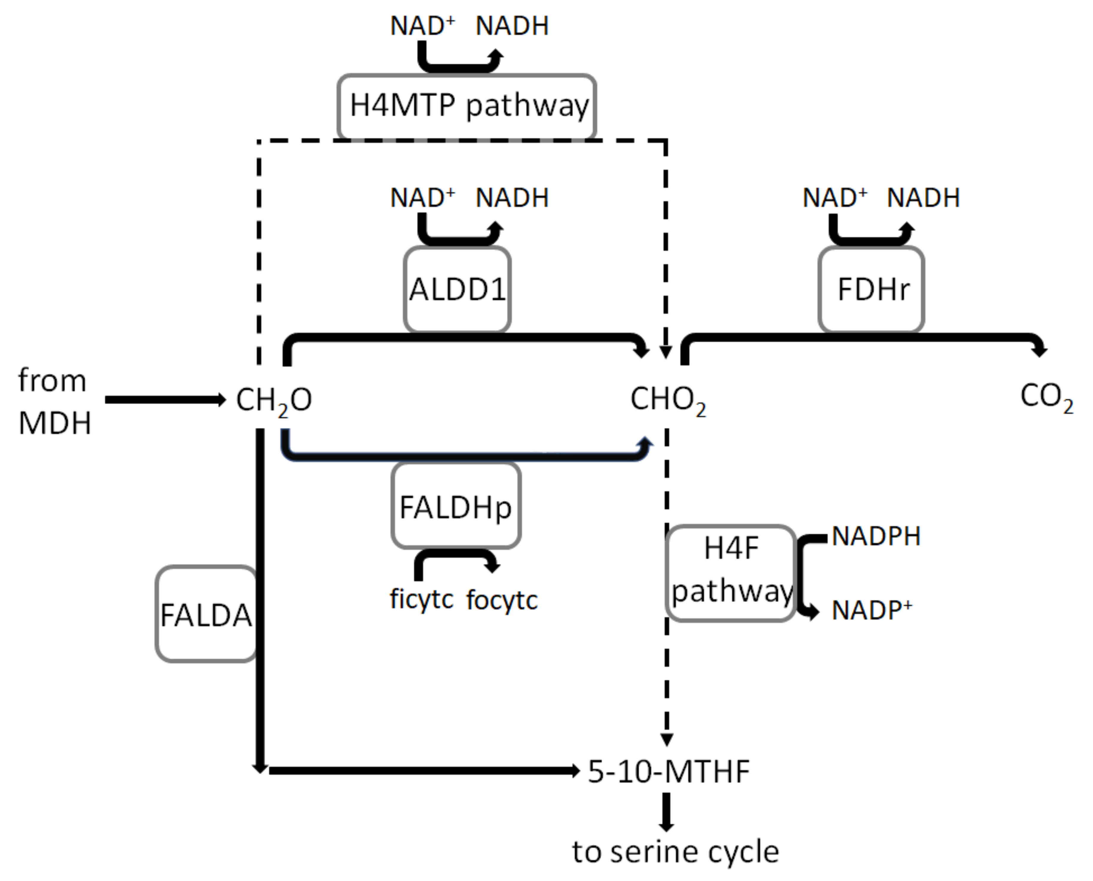 Microorganisms 08 00437 g004 Microorganisms 08 00437 g004