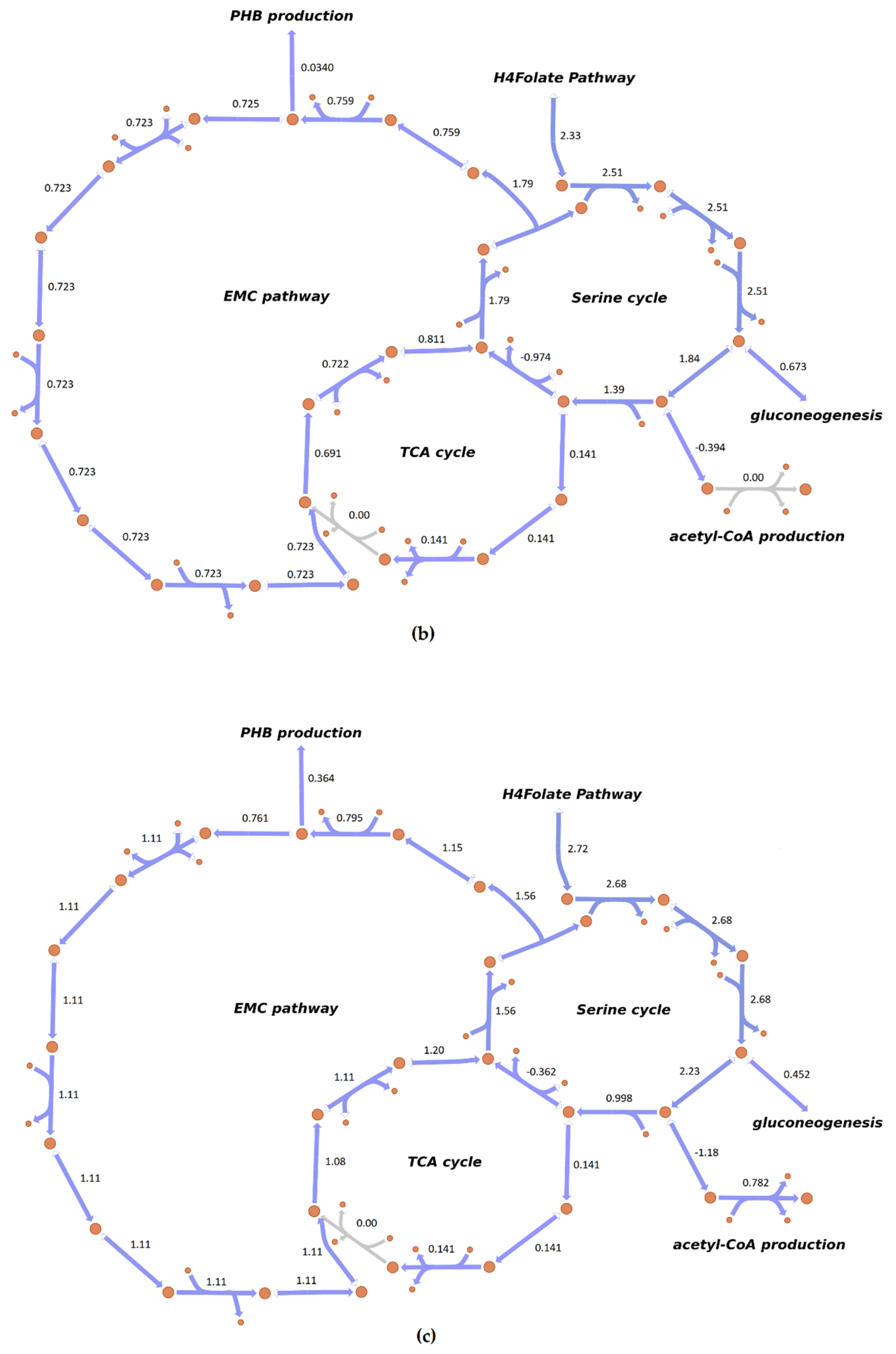Microorganisms 08 00437 g005b Microorganisms 08 00437 g005b