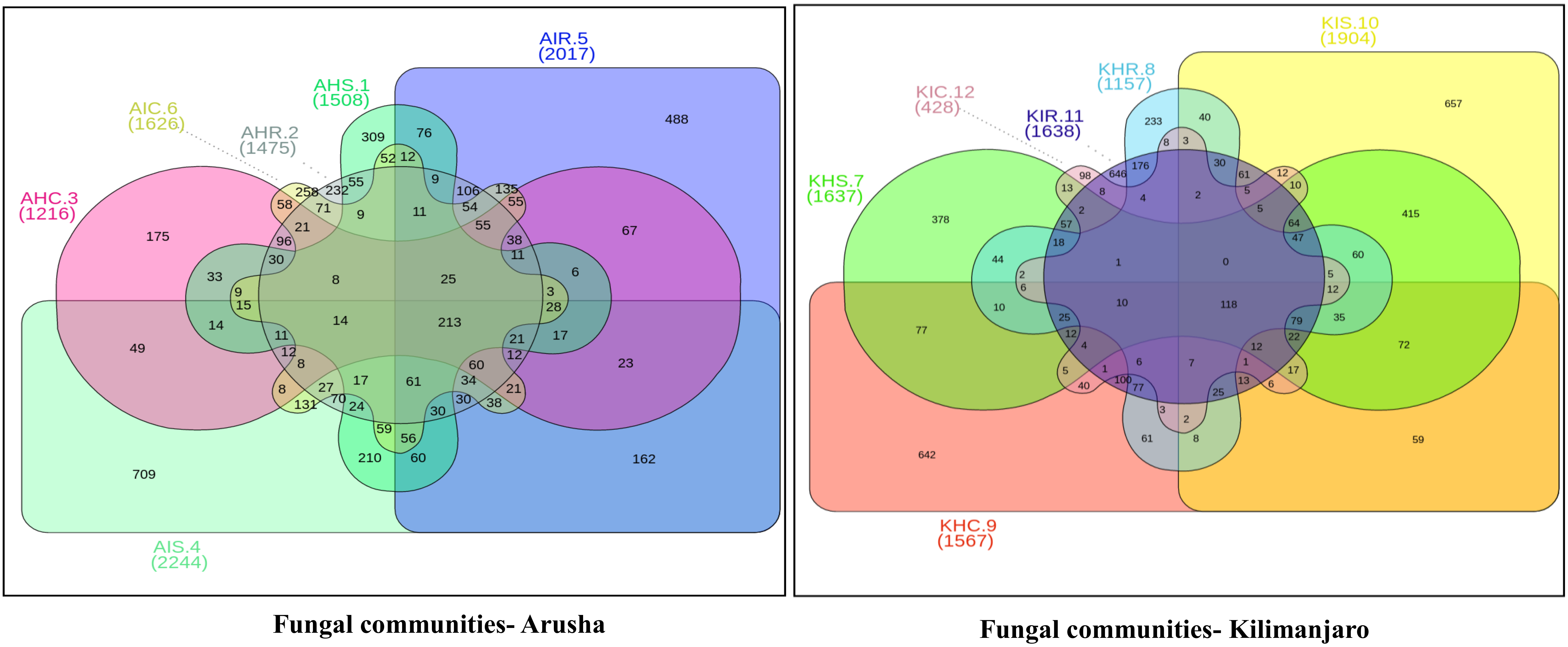 Microorganisms 08 00443 g004b