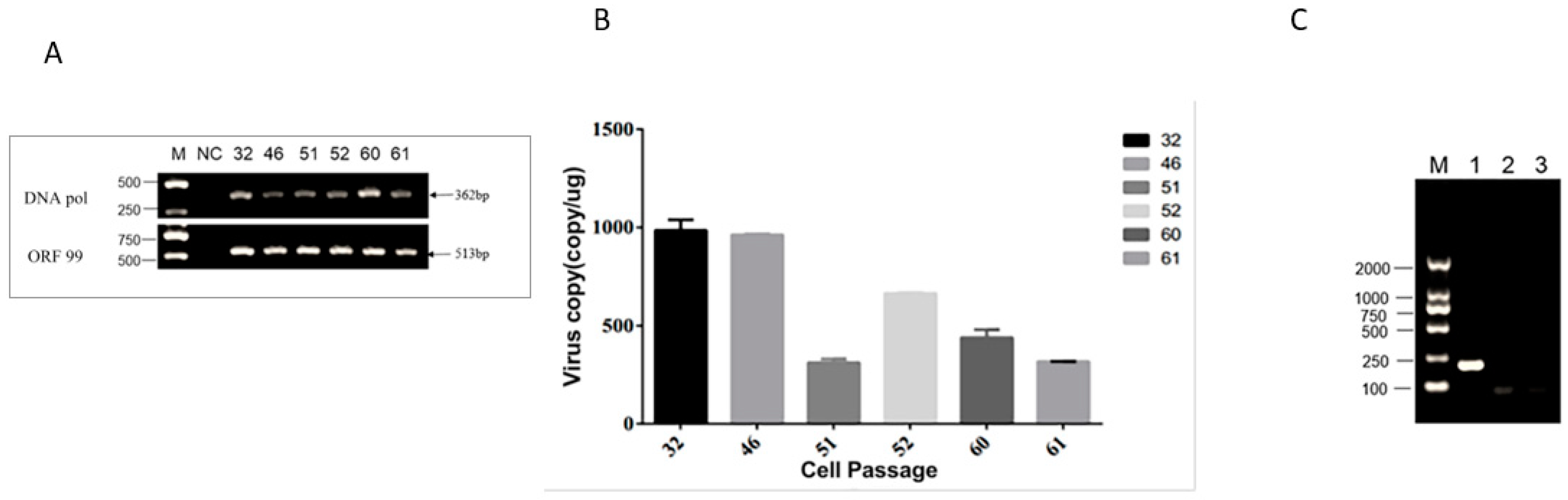Microorganisms 08 00445 g004