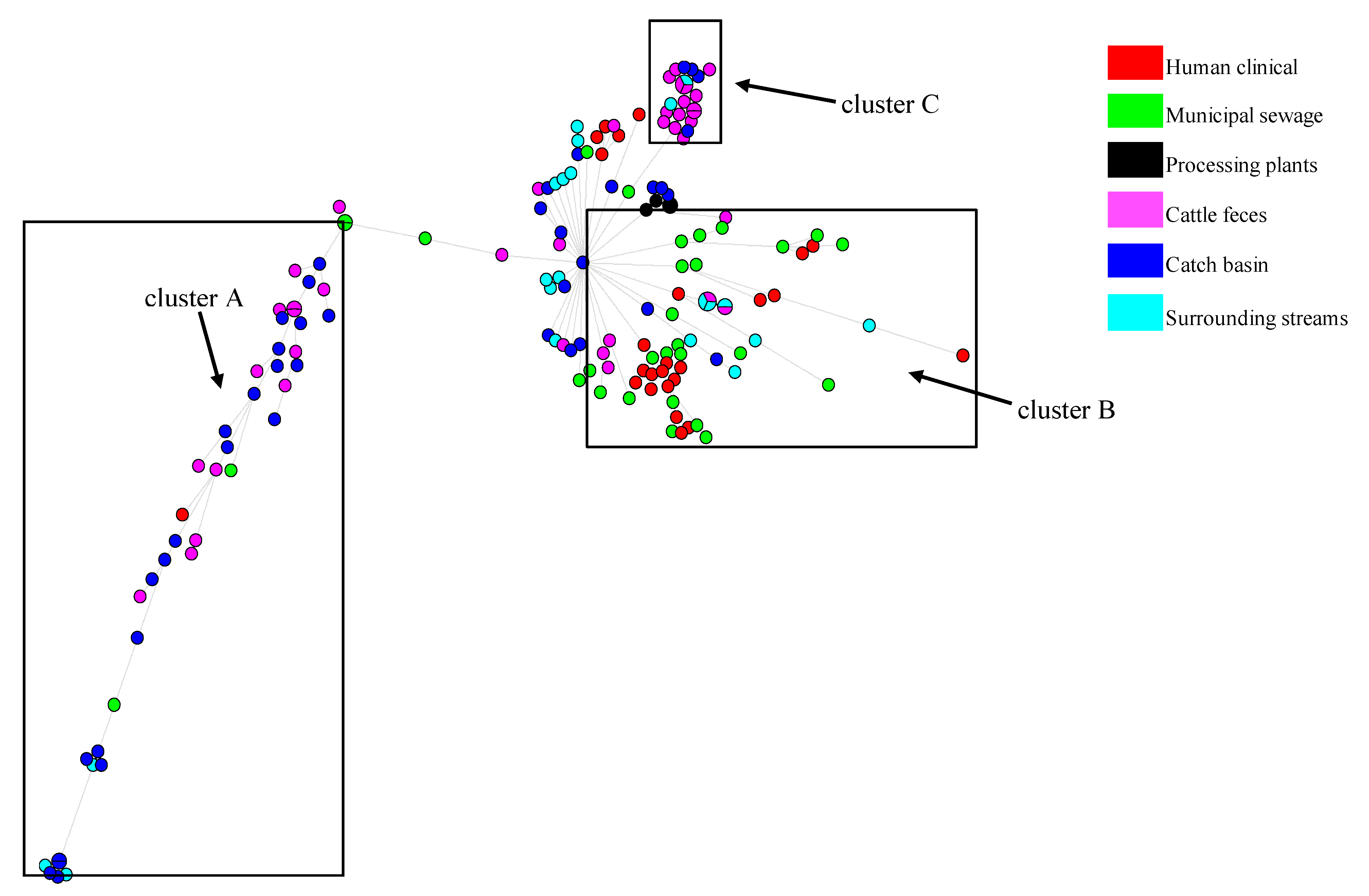 Microorganisms 08 00448 g004 Microorganisms 08 00448 g004