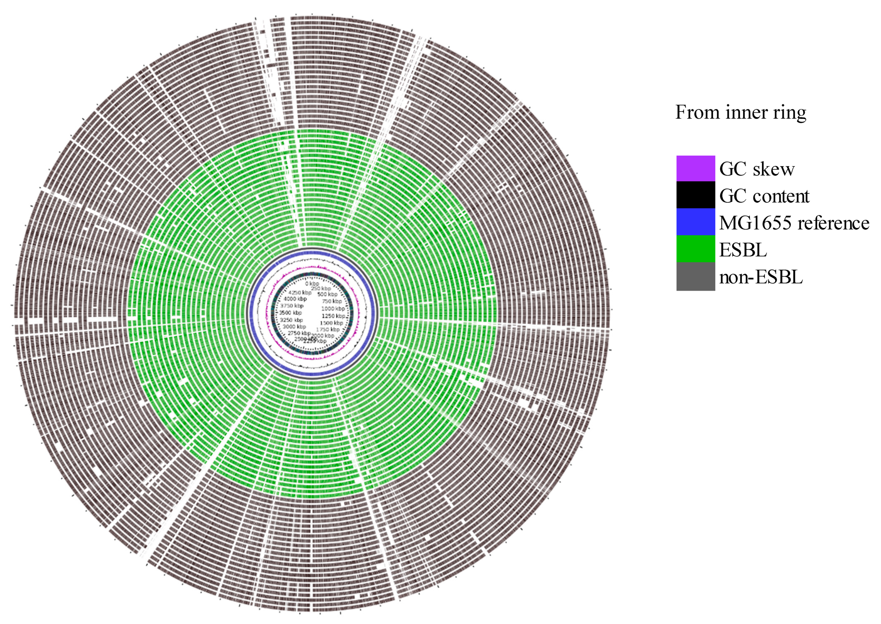 Microorganisms 08 00448 g005 Microorganisms 08 00448 g005