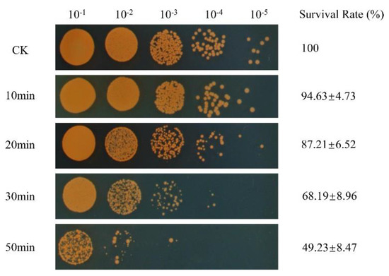 The reduction effect and mechanism of Deinococcus radiodurans