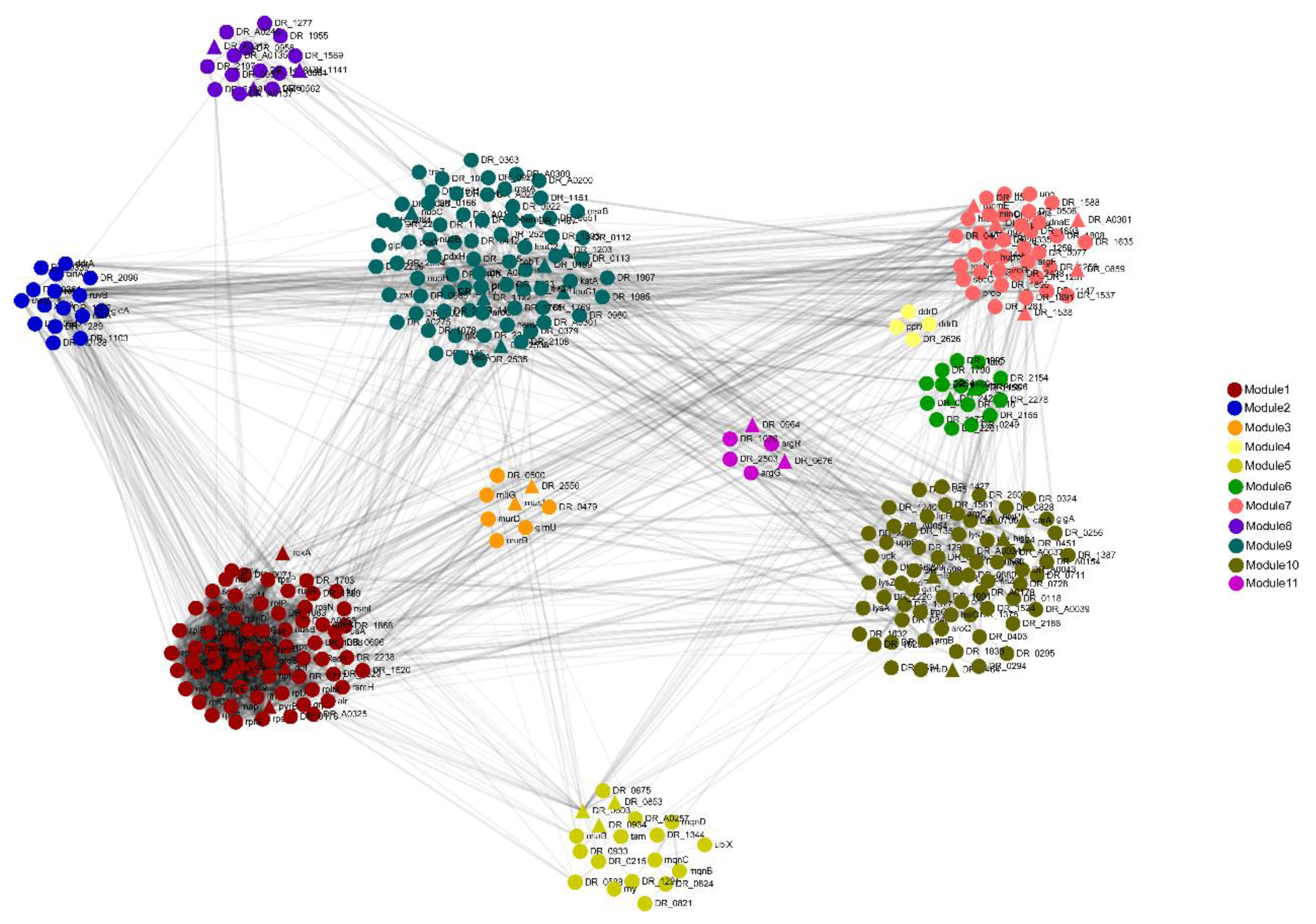 Oxidative Stress Resistance in Deinococcus radiodurans