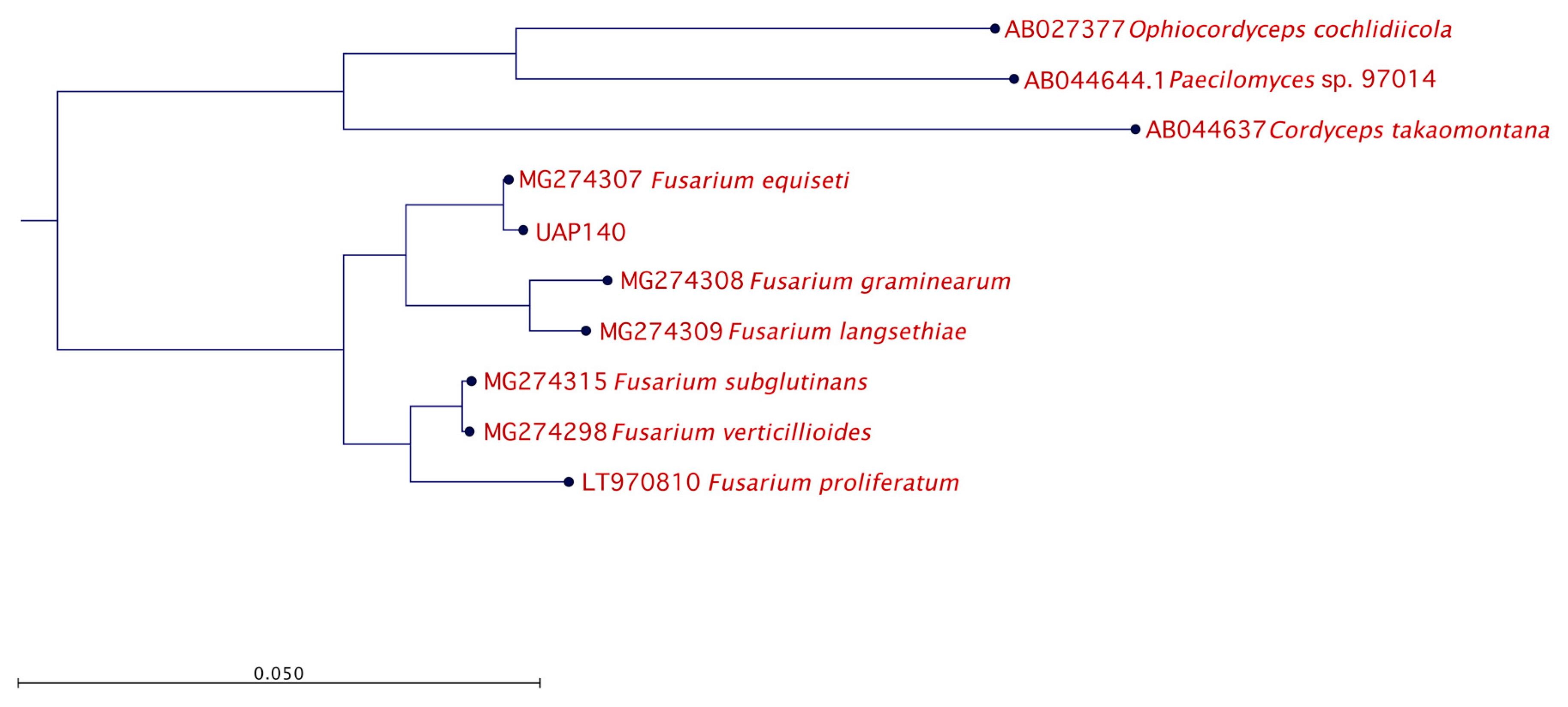 Microorganisms 08 00459 g005