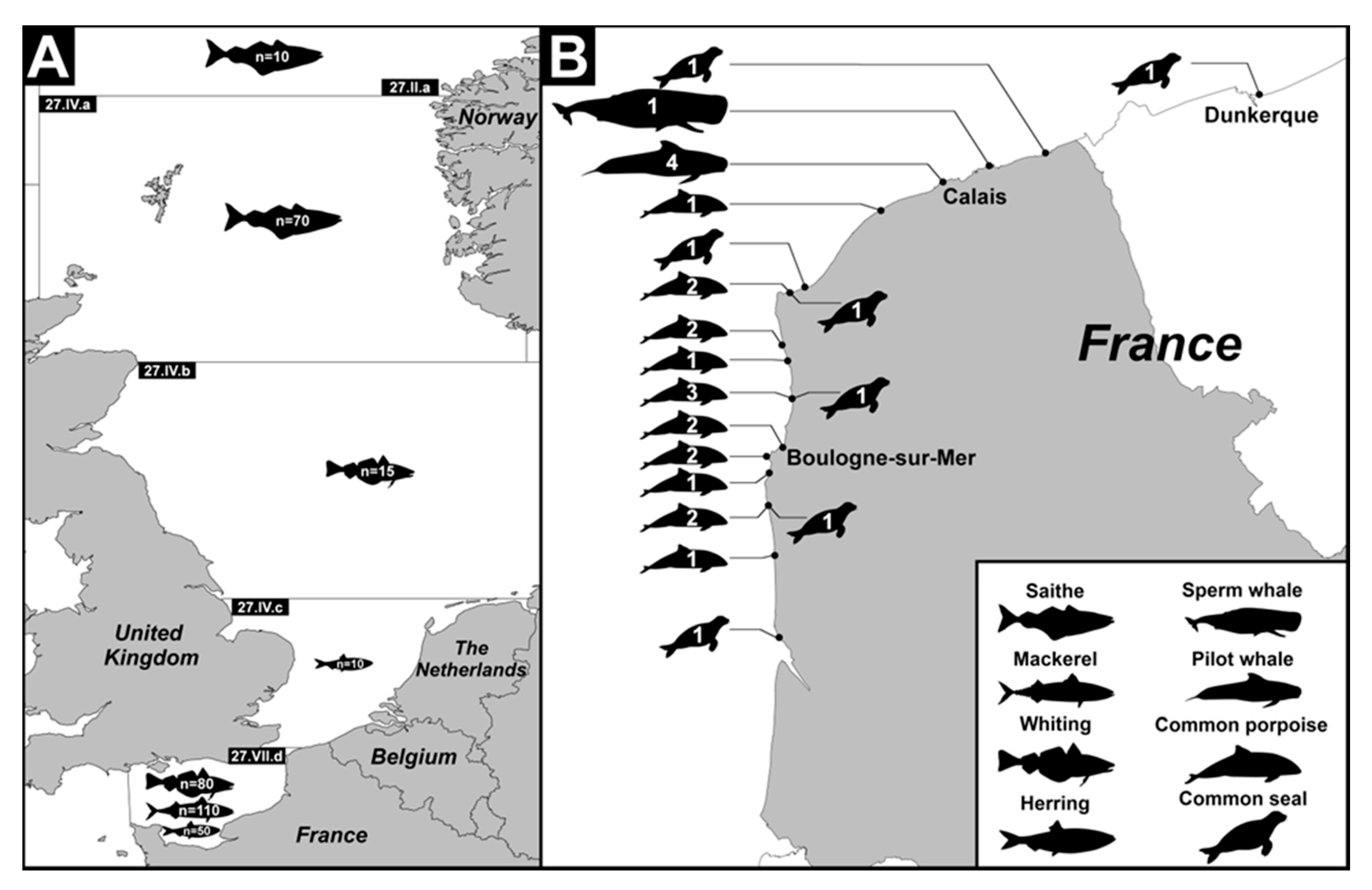 Microorganisms 08 00460 g001