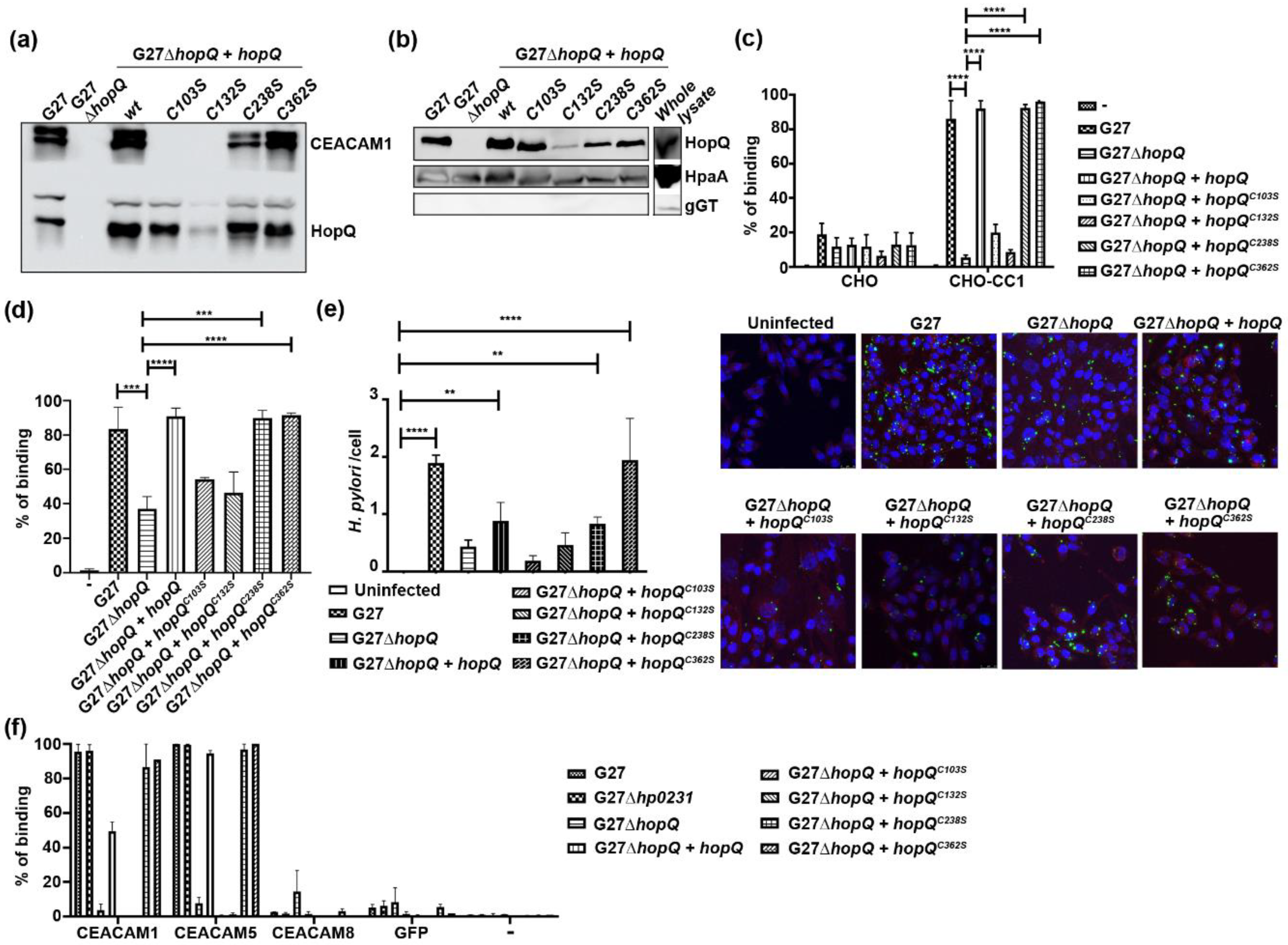 Microorganisms 08 00465 g002 Microorganisms 08 00465 g002