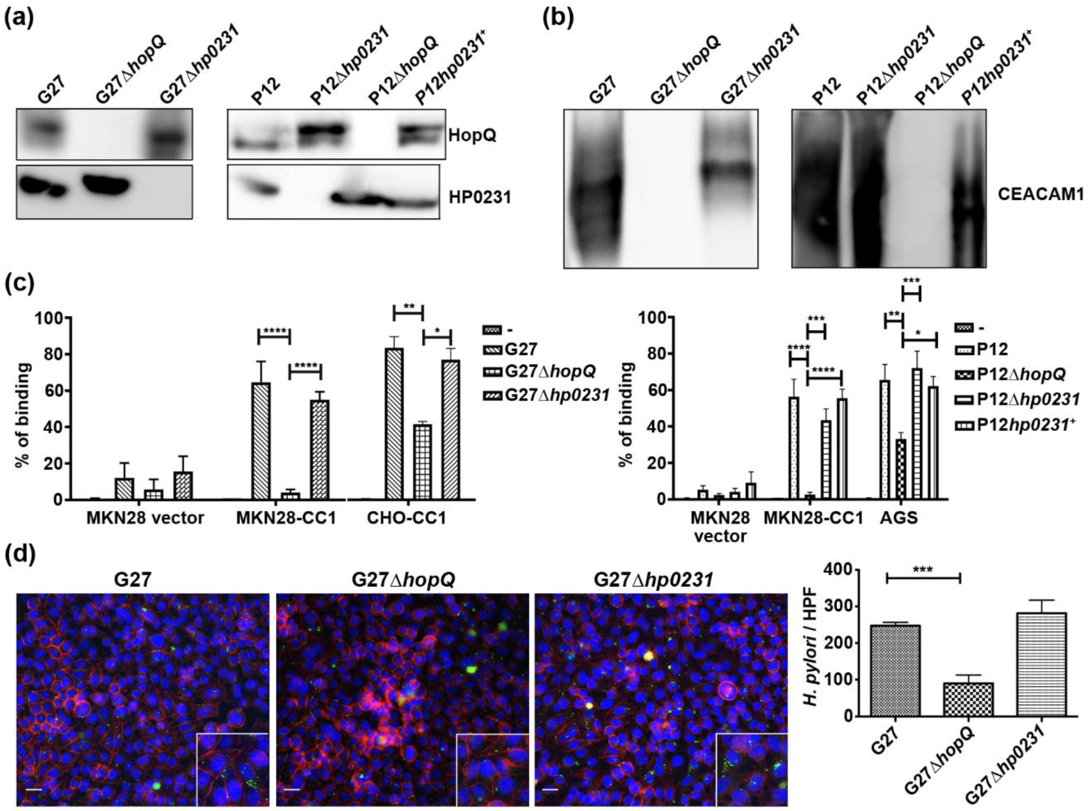 Microorganisms 08 00465 g003 Microorganisms 08 00465 g003