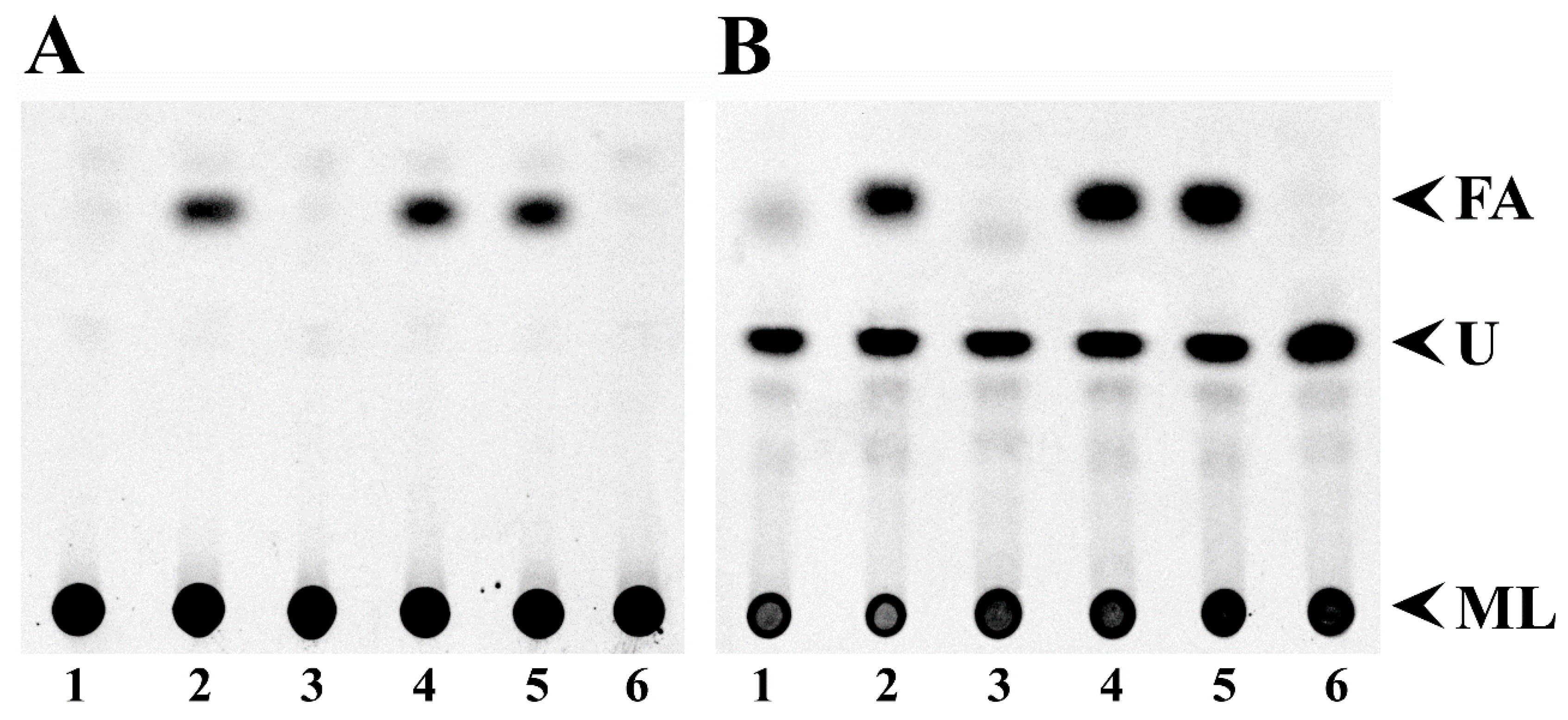 Microorganisms 08 00470 g003 Microorganisms 08 00470 g003
