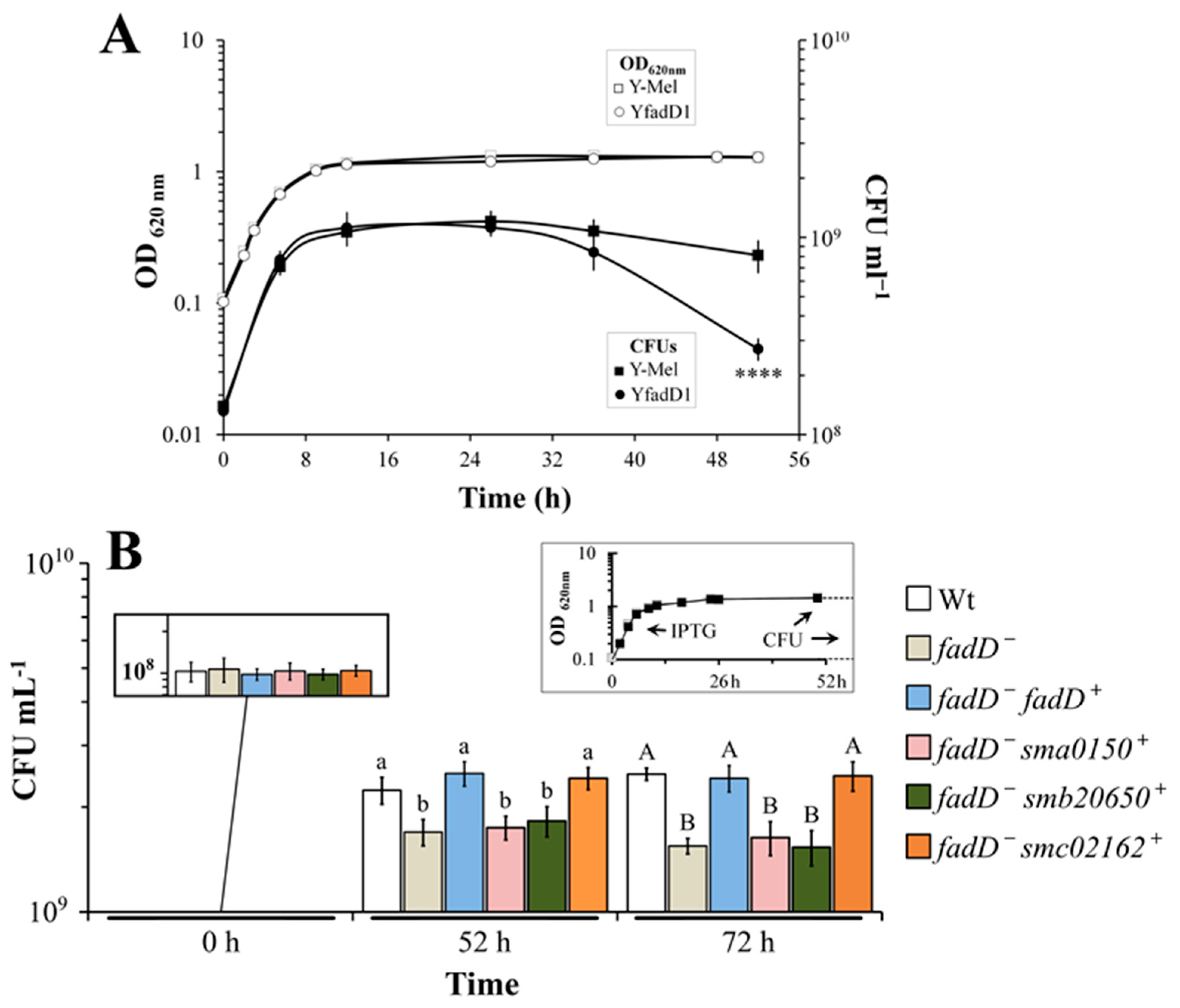Microorganisms 08 00470 g005 Microorganisms 08 00470 g005