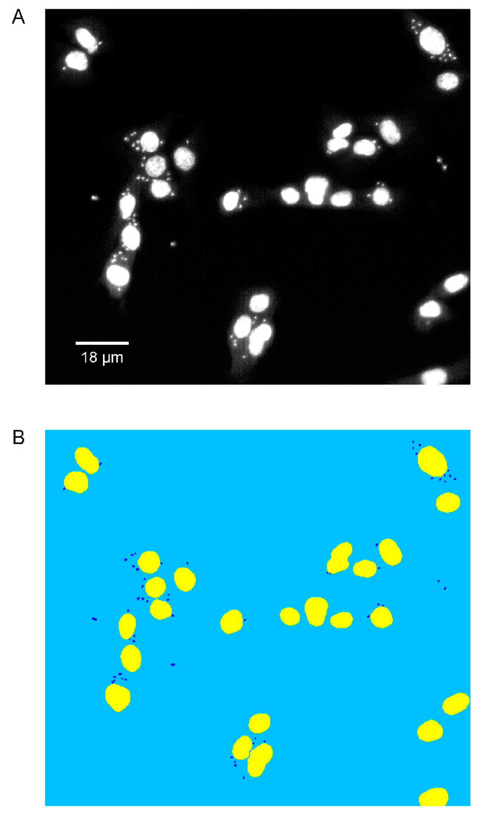 Microorganisms 08 00472 g001 Microorganisms 08 00472 g001