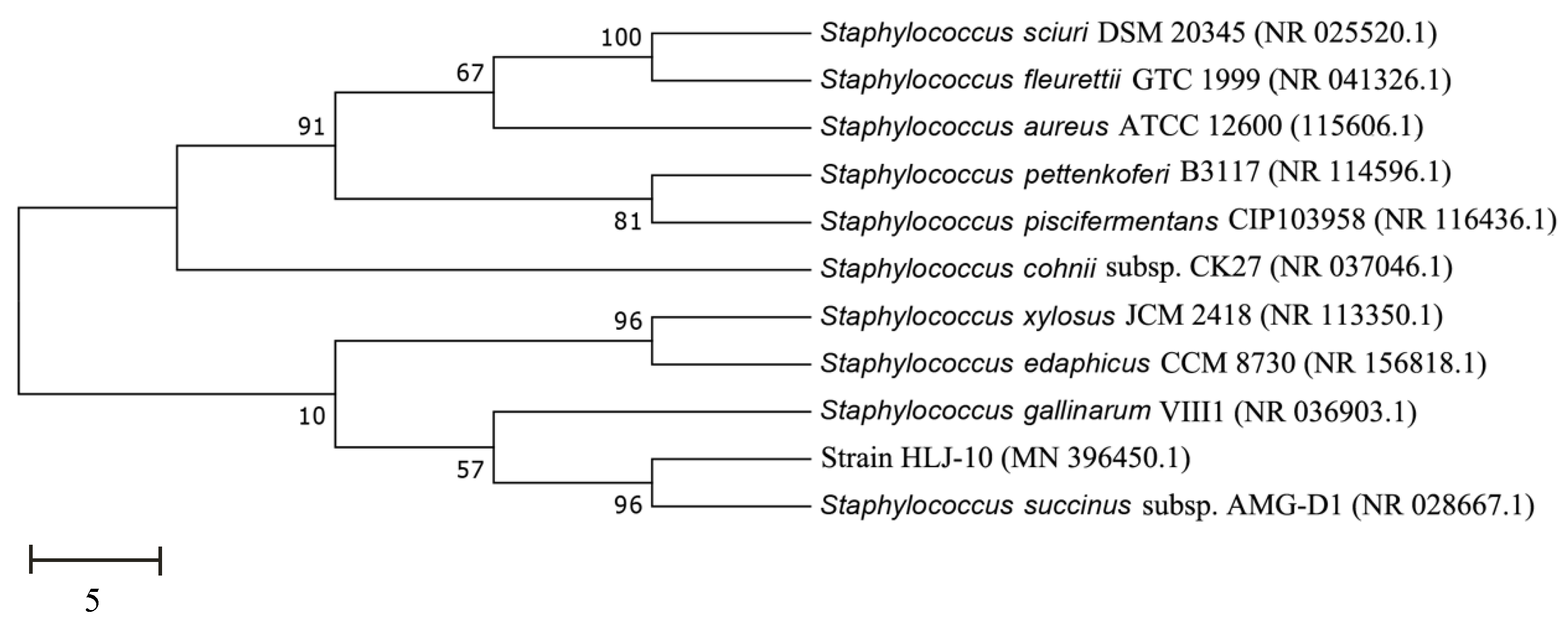 Microorganisms 08 00473 g001
