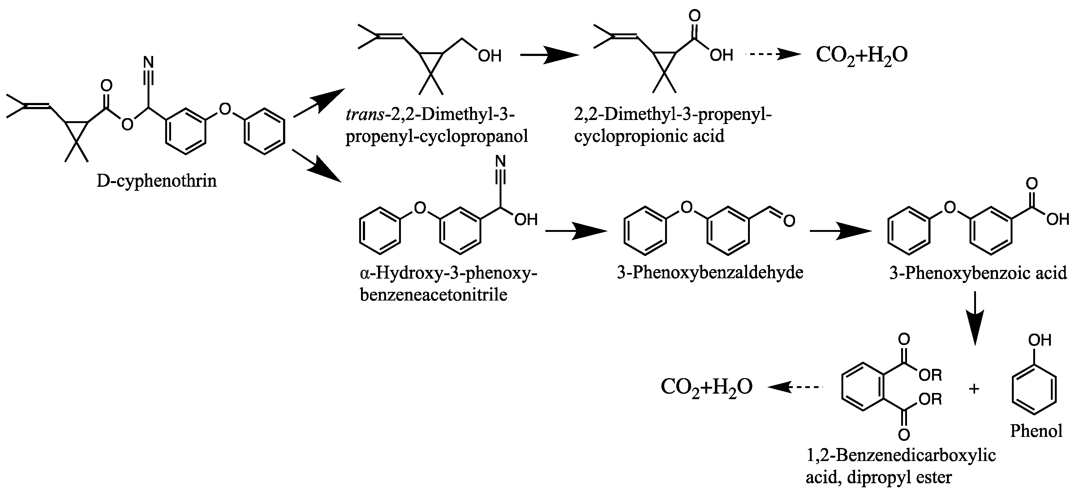 Microorganisms 08 00473 g004