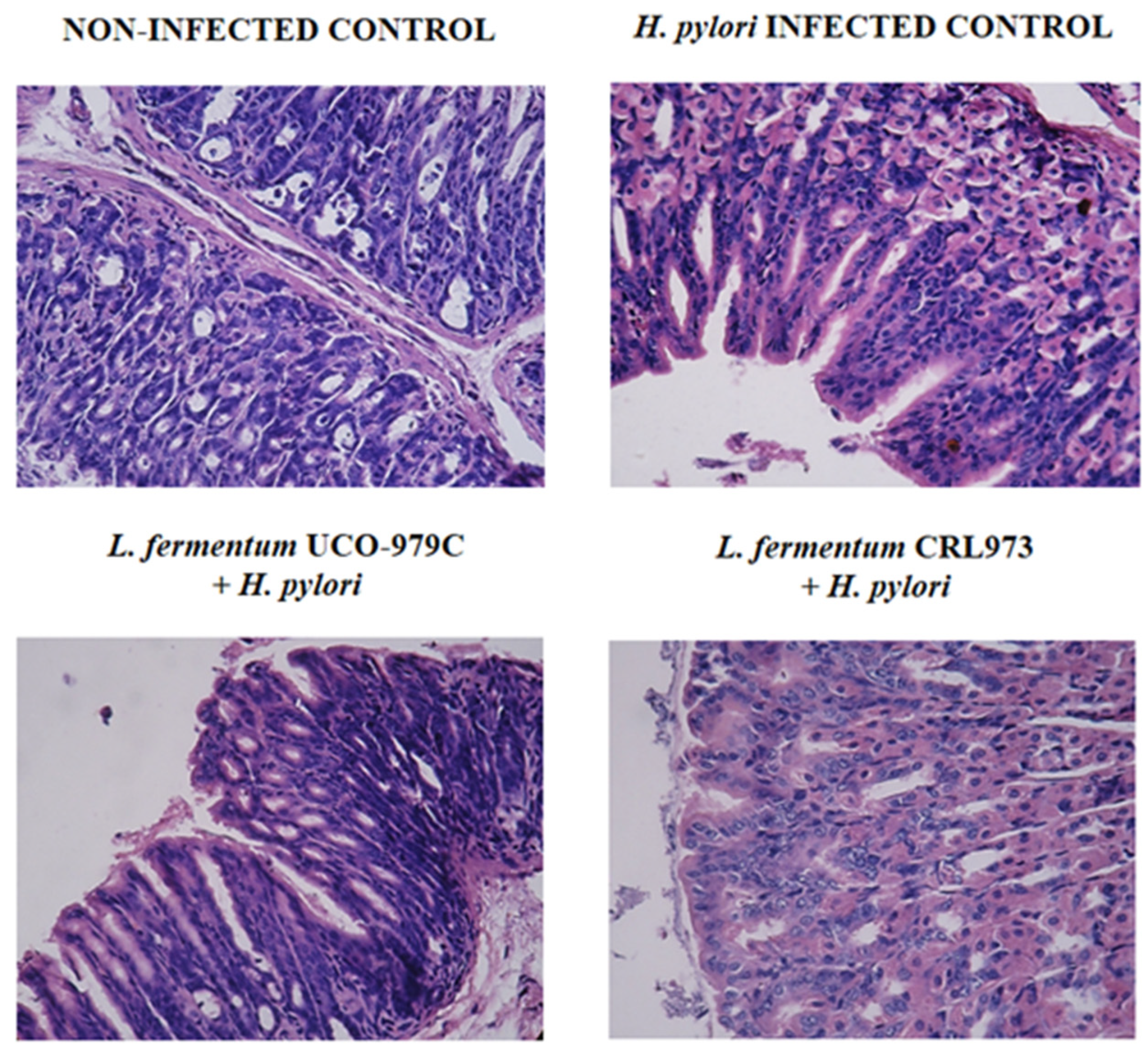 Microorganisms 08 00479 g002
