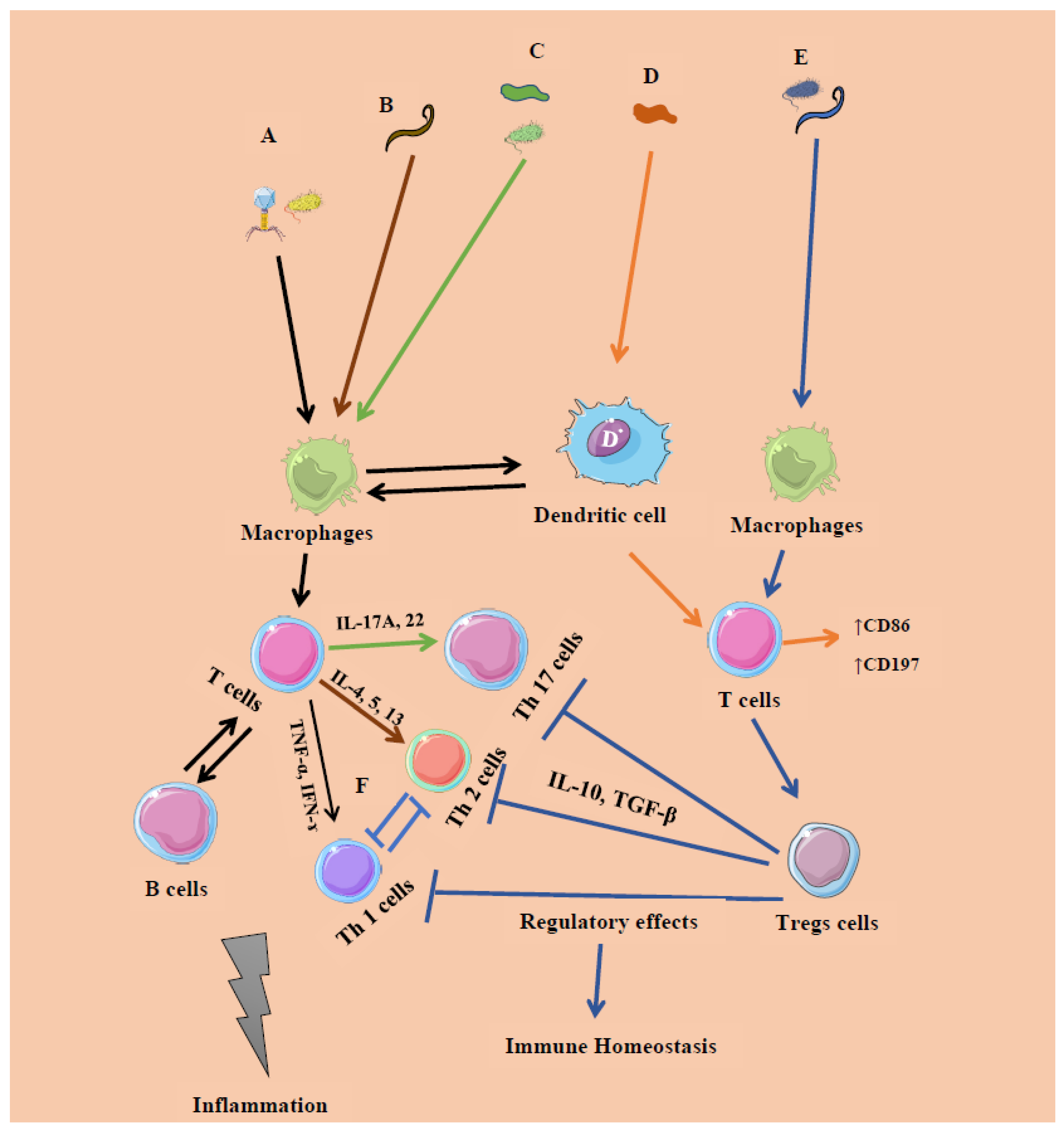 Microorganisms 08 00483 g003 Microorganisms 08 00483 g003