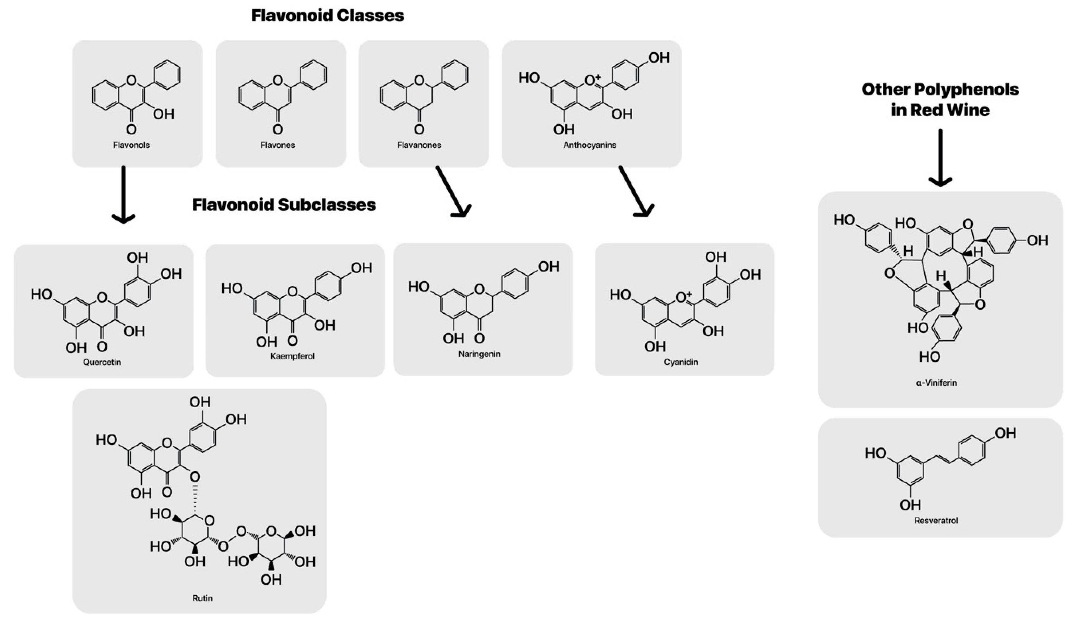 Microorganisms 08 00490 g001