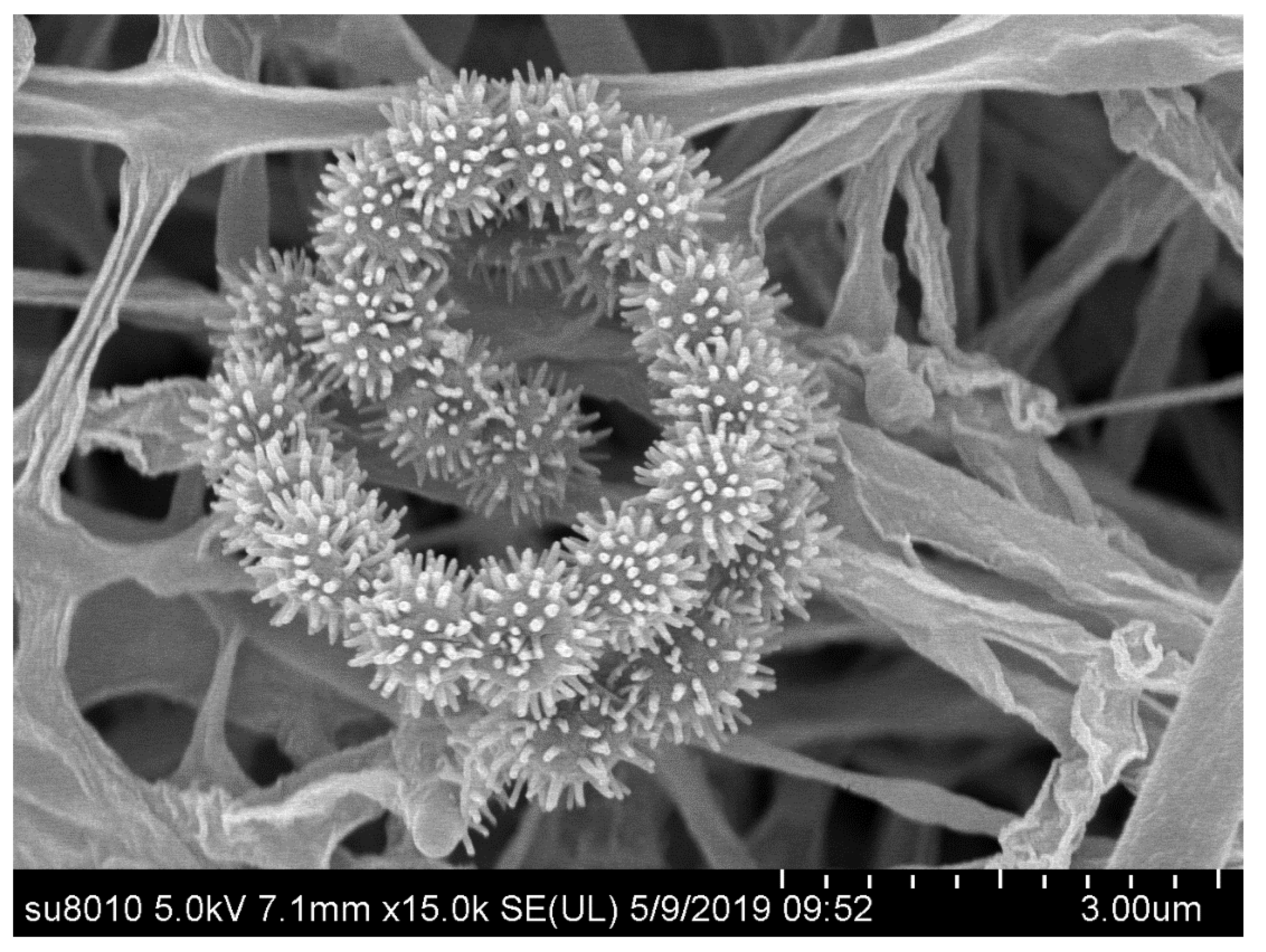 Microorganisms 08 00495 g003