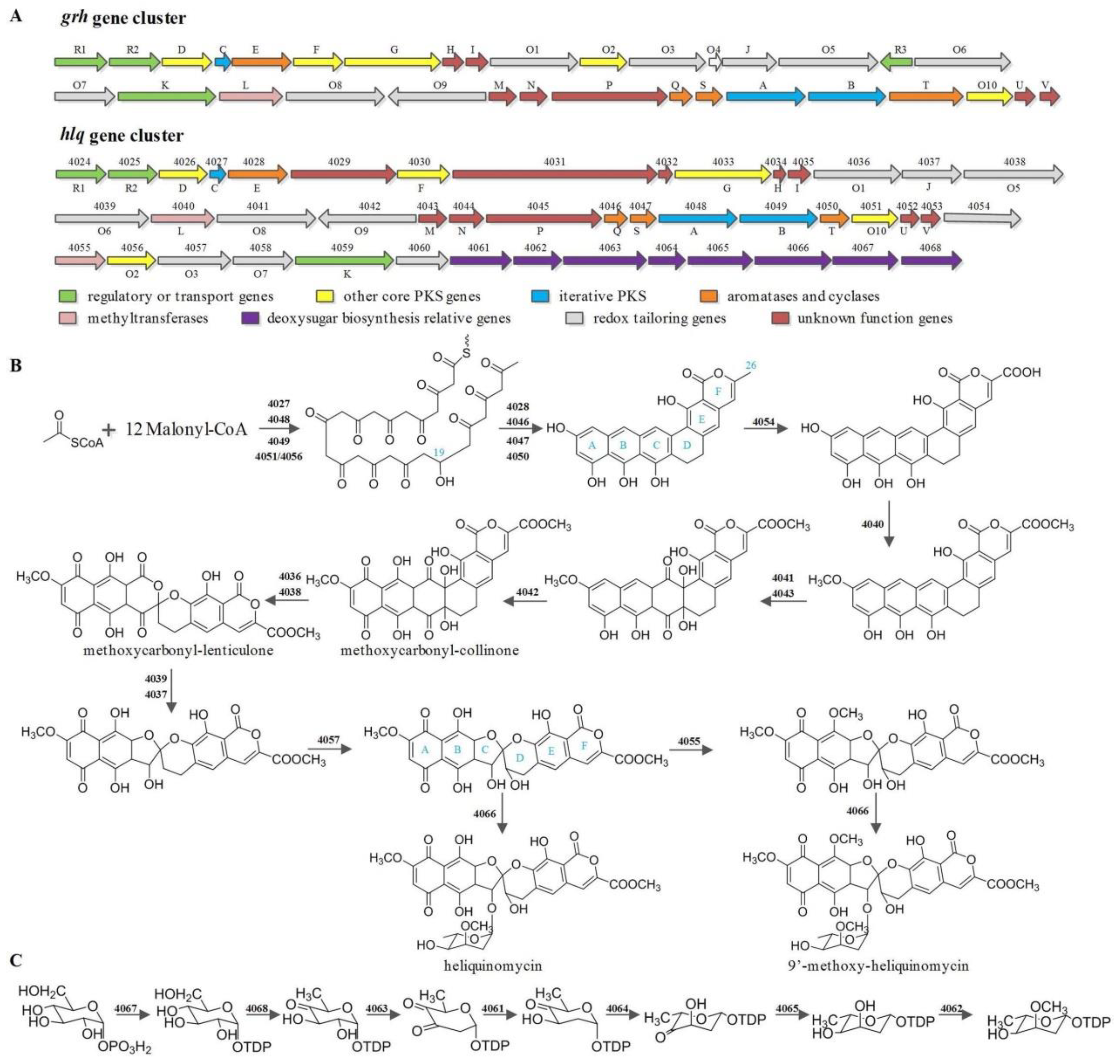 Microorganisms 08 00495 g004