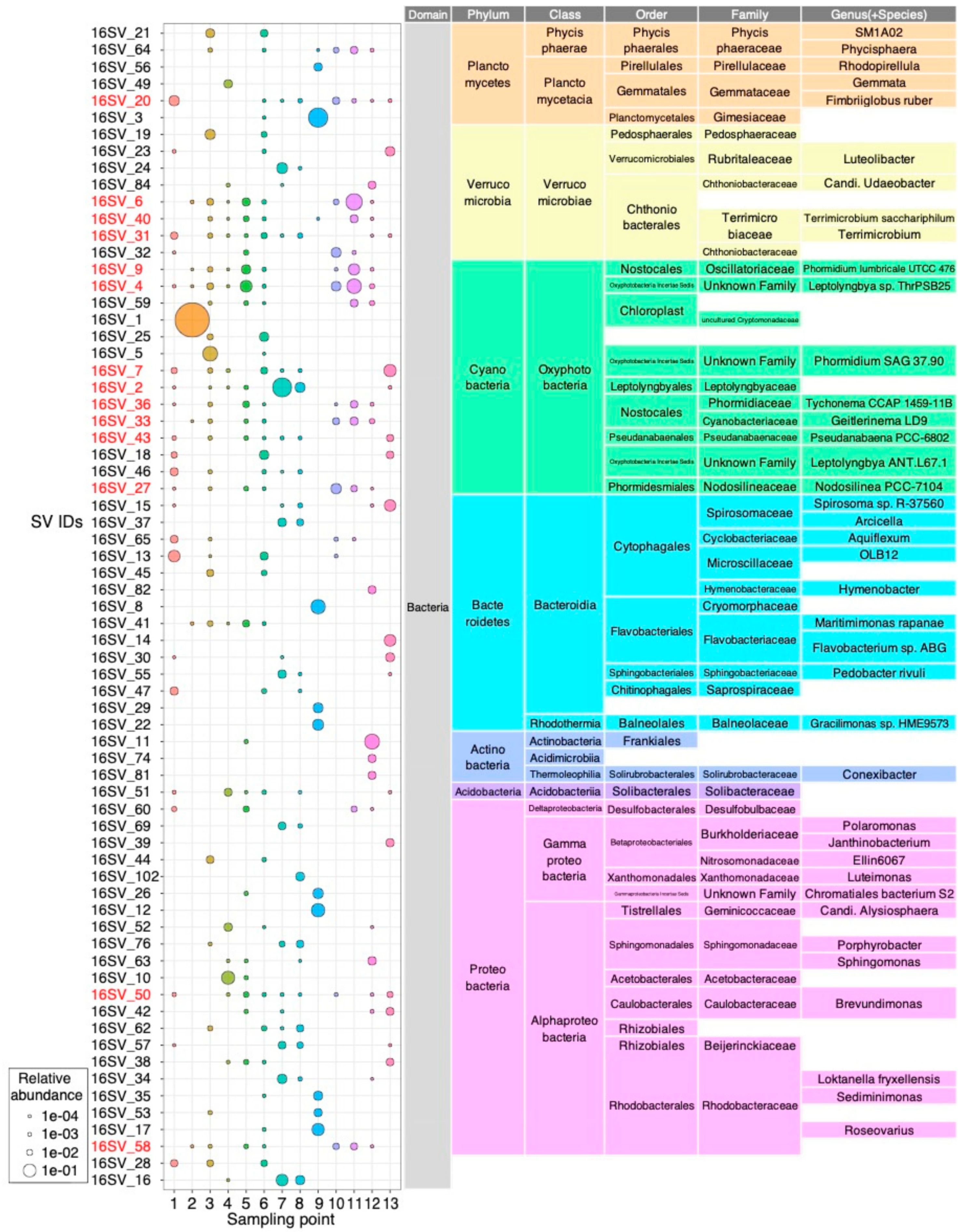 Microorganisms 08 00497 g003