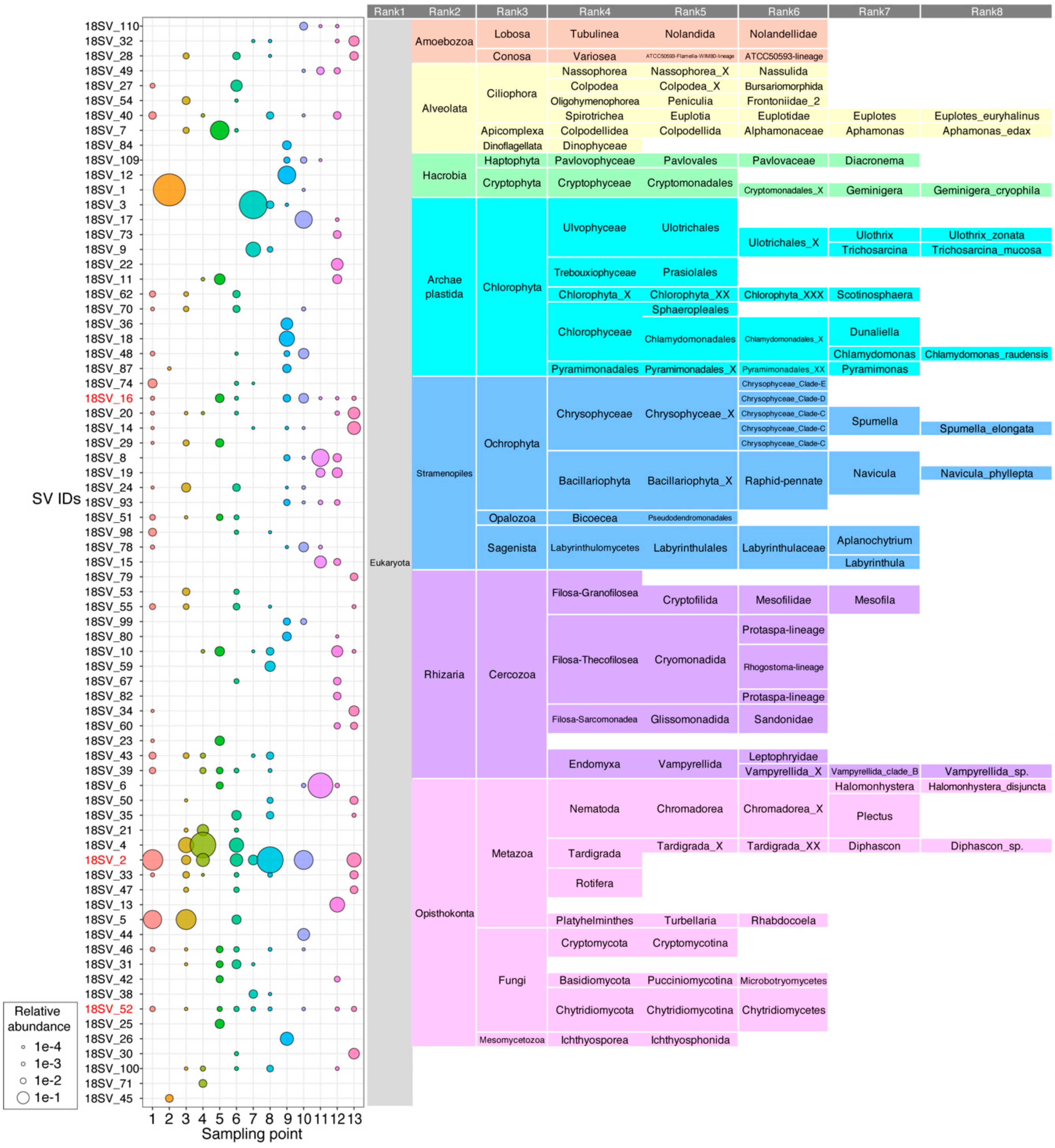 Microorganisms 08 00497 g004