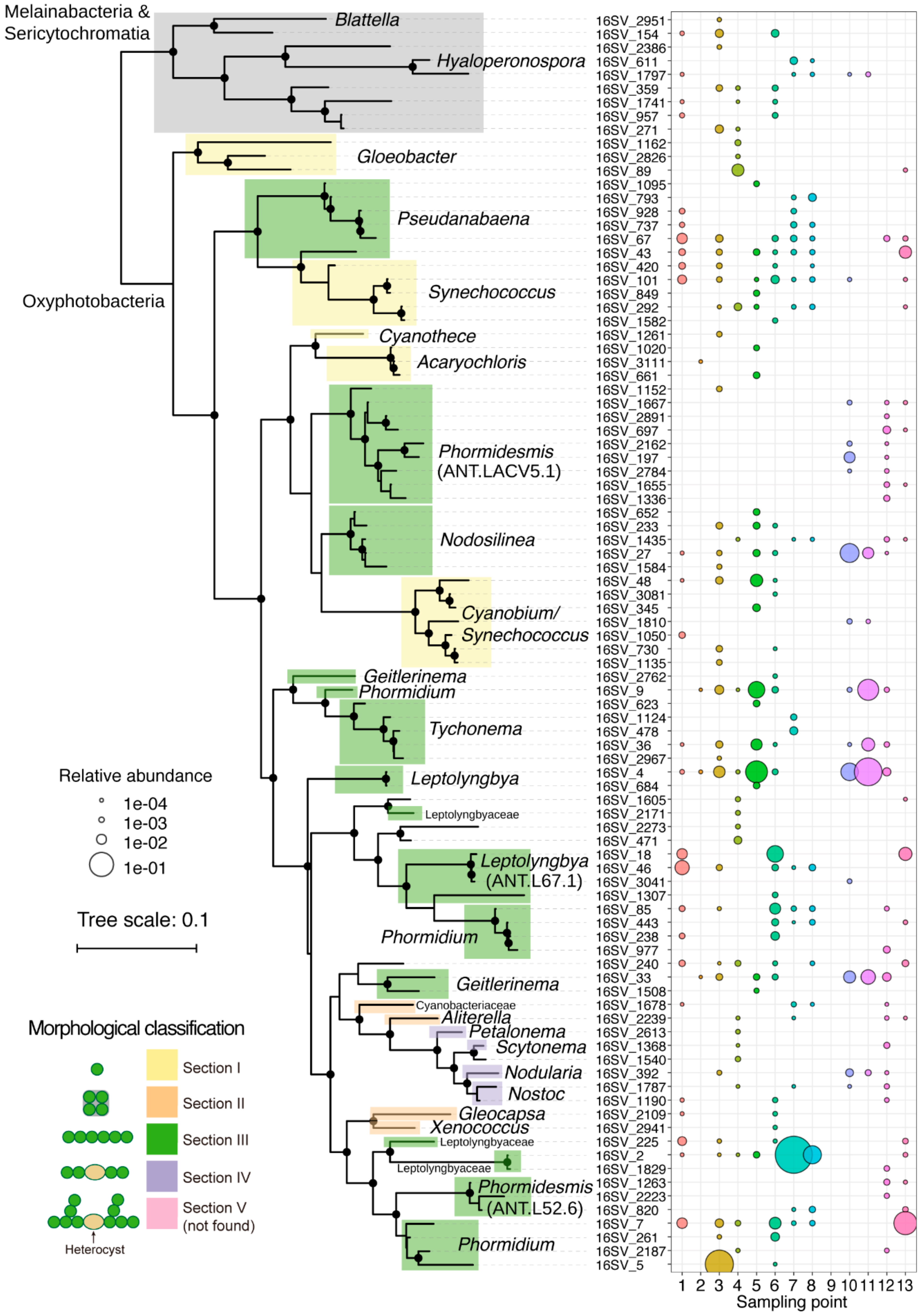 Microorganisms 08 00497 g005