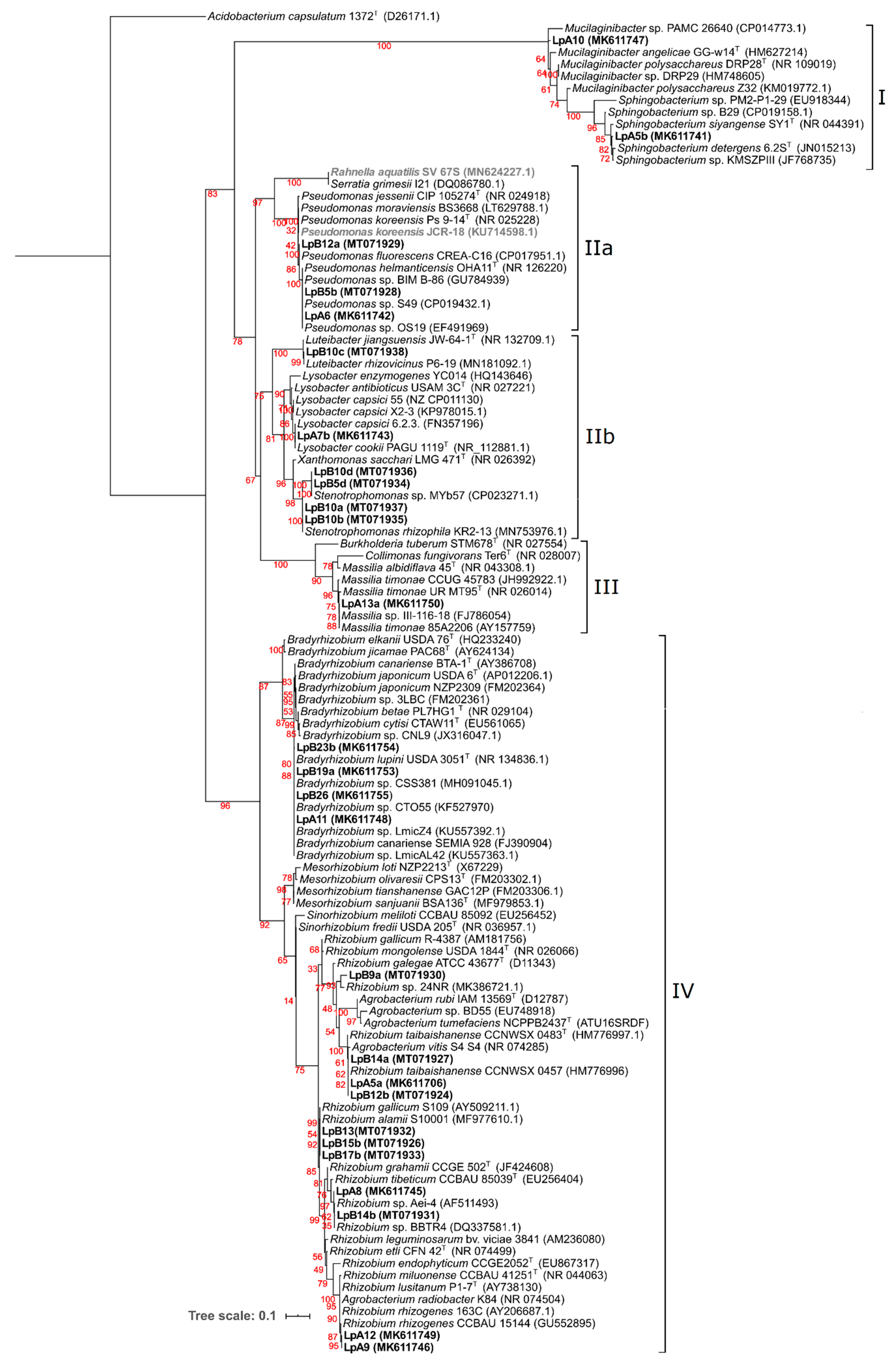 Microorganisms 08 00499 g002 Microorganisms 08 00499 g002