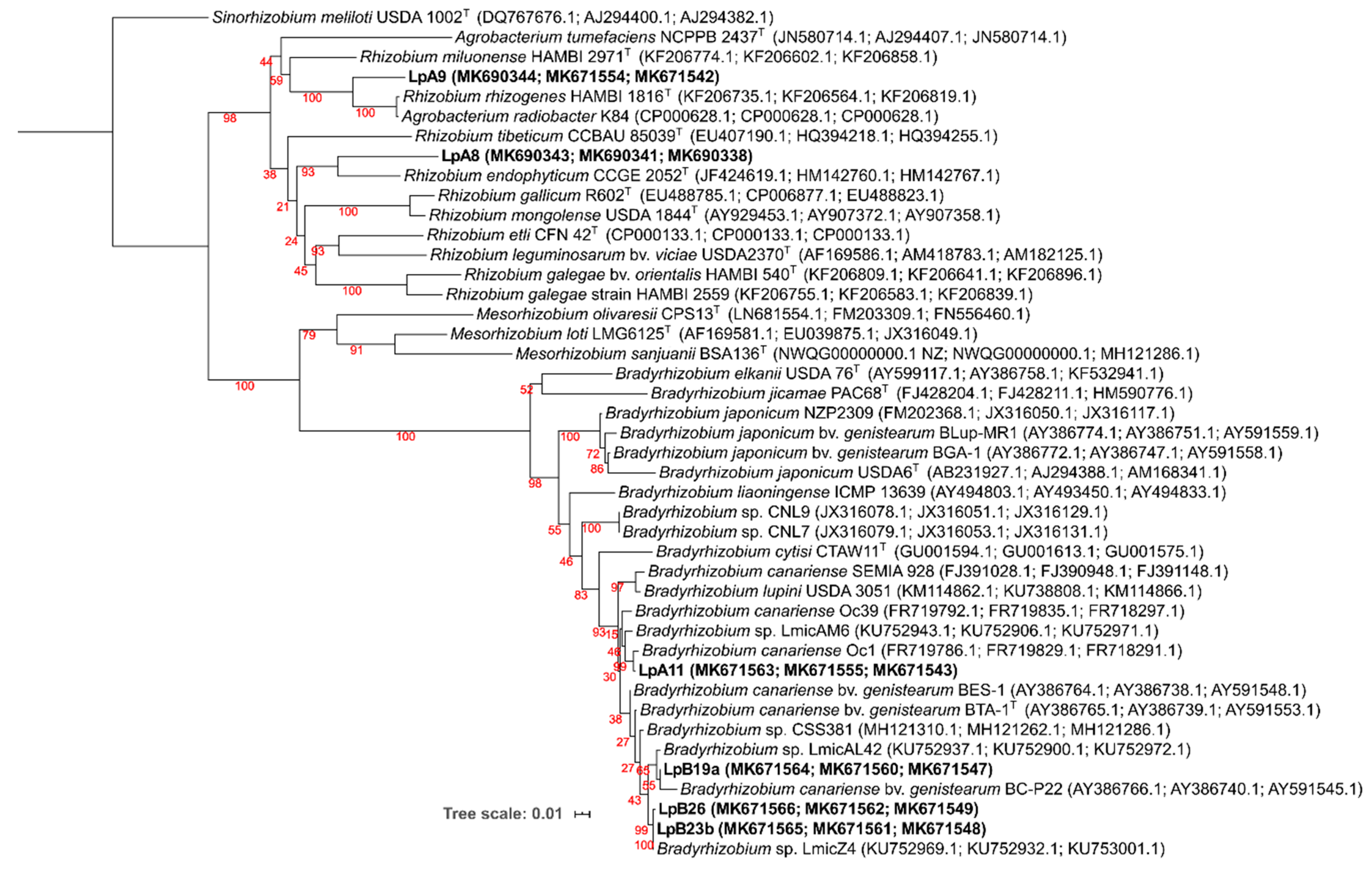 Microorganisms 08 00499 g003 Microorganisms 08 00499 g003