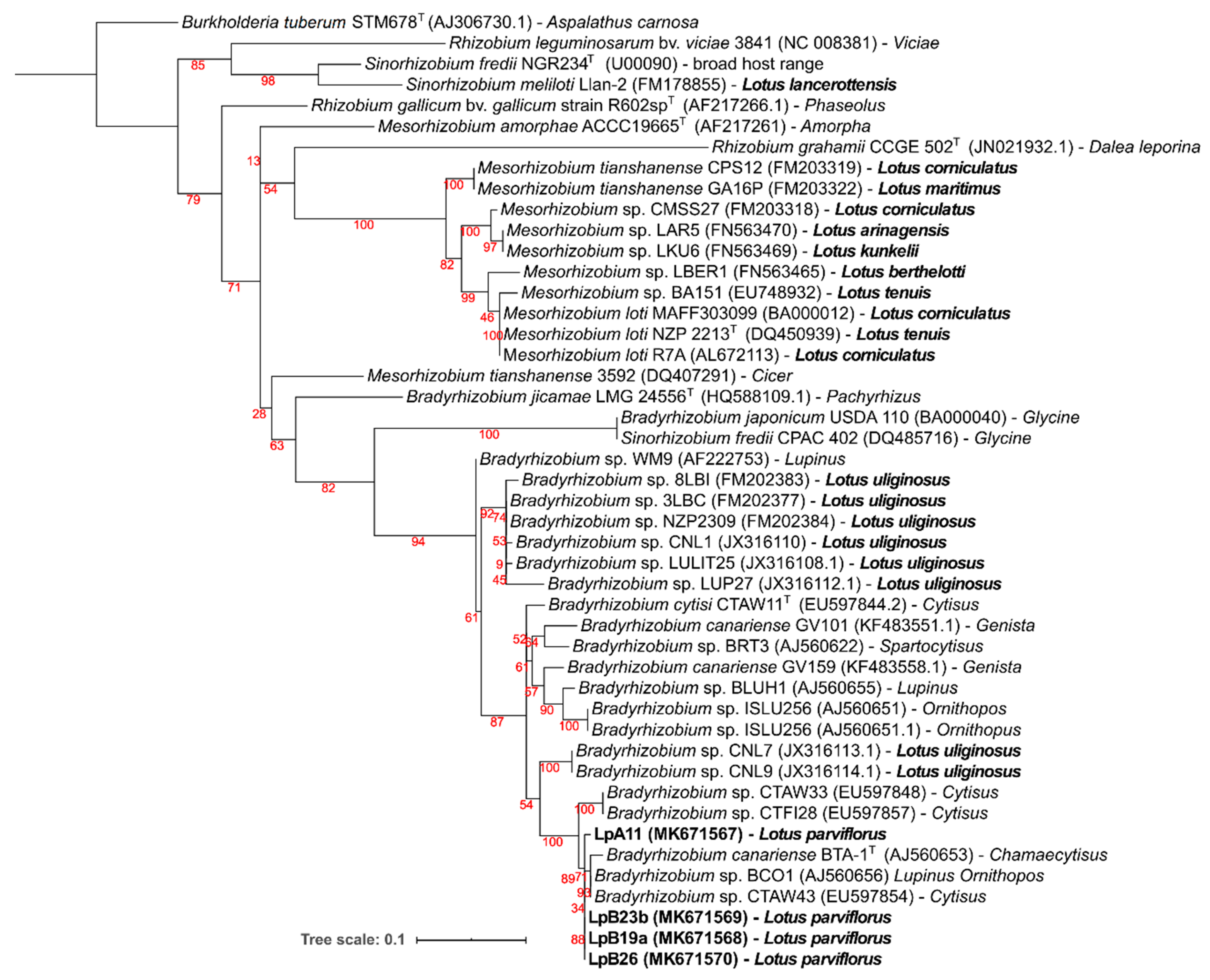 Microorganisms 08 00499 g004 Microorganisms 08 00499 g004