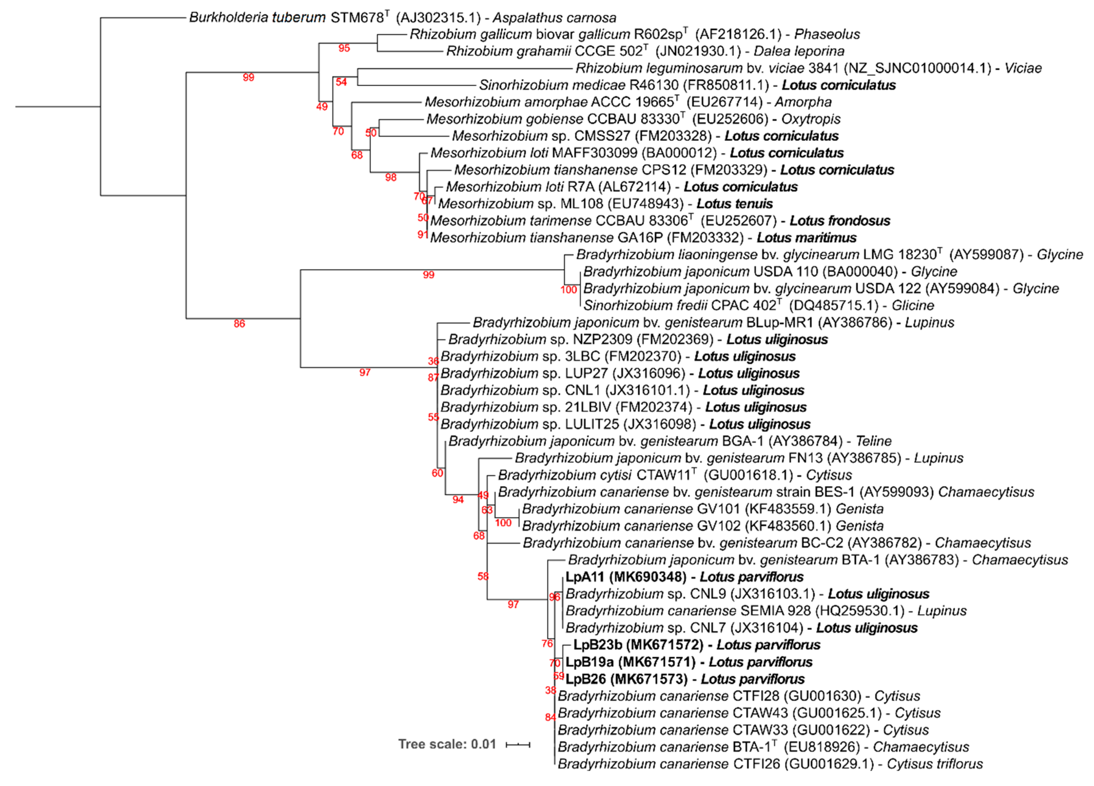 Microorganisms 08 00499 g005 Microorganisms 08 00499 g005