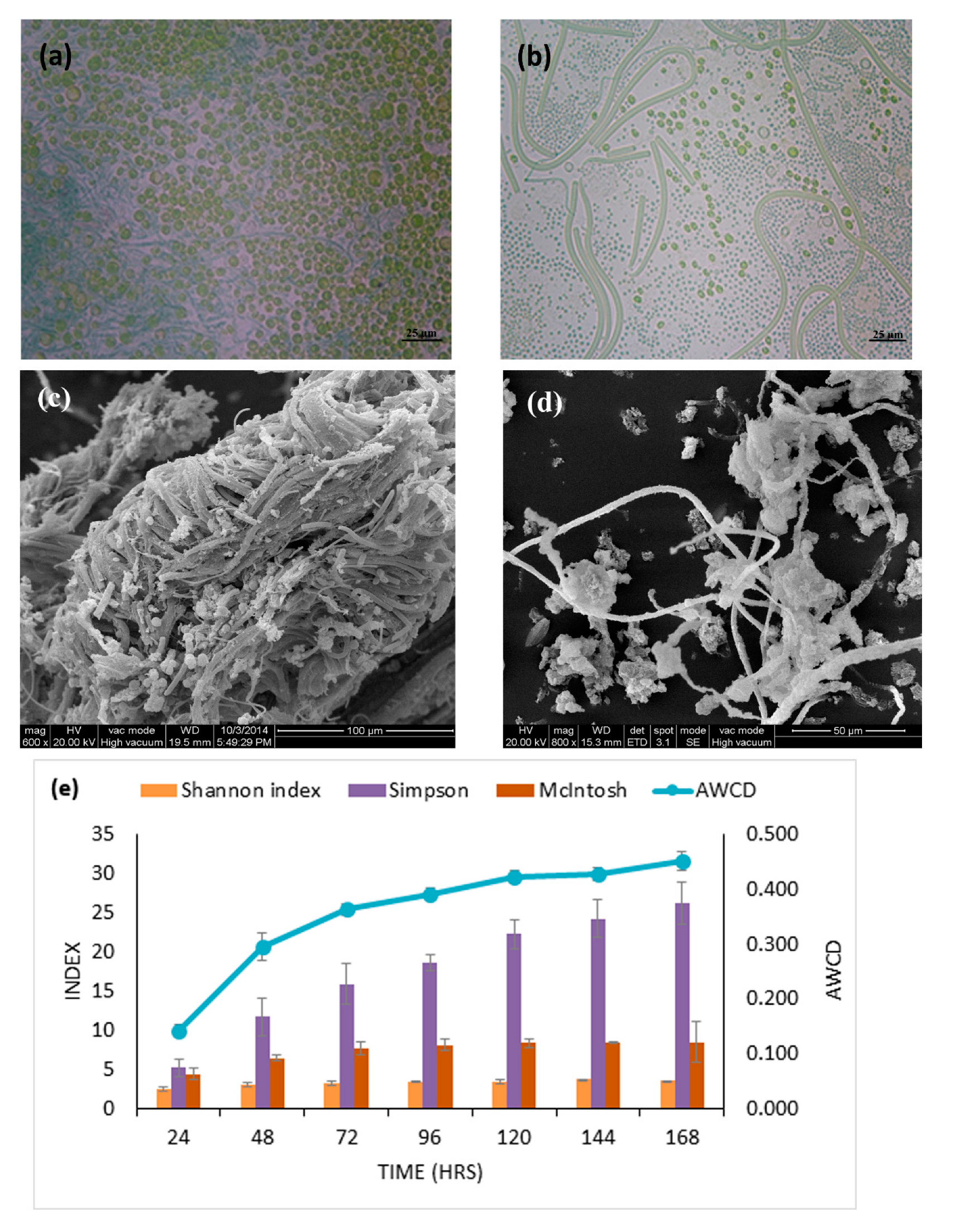 Microorganisms 08 00505 g001
