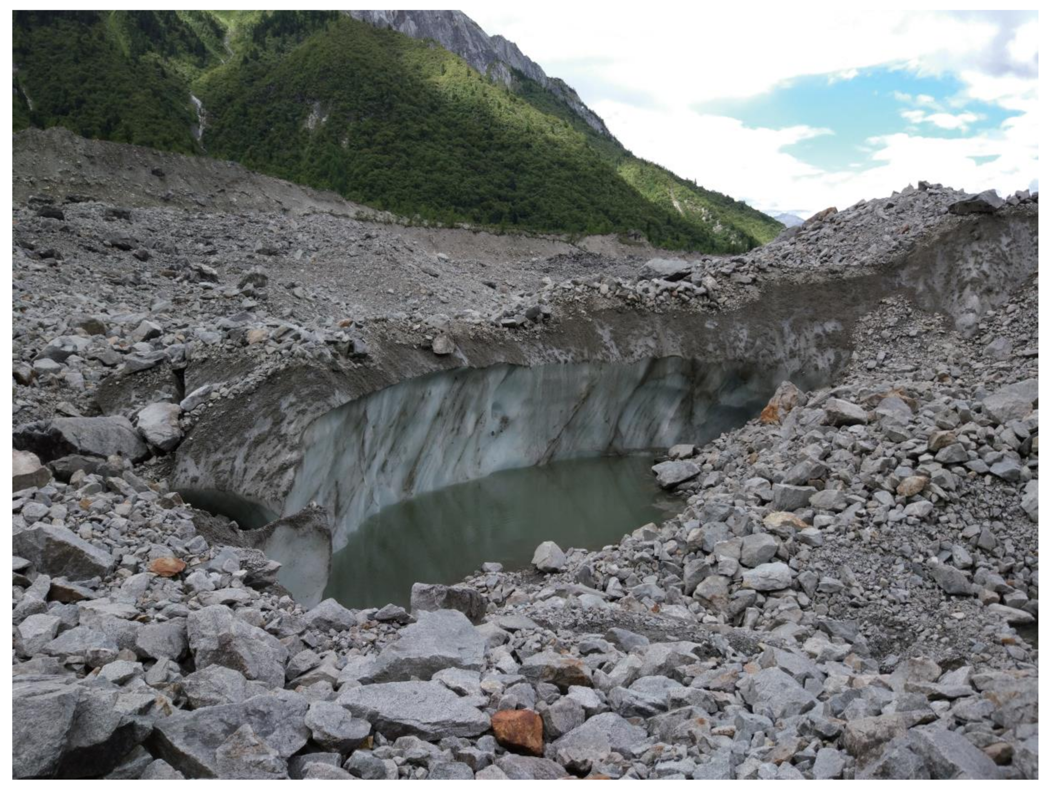 Microorganisms 08 00509 g001a Microorganisms 08 00509 g001a