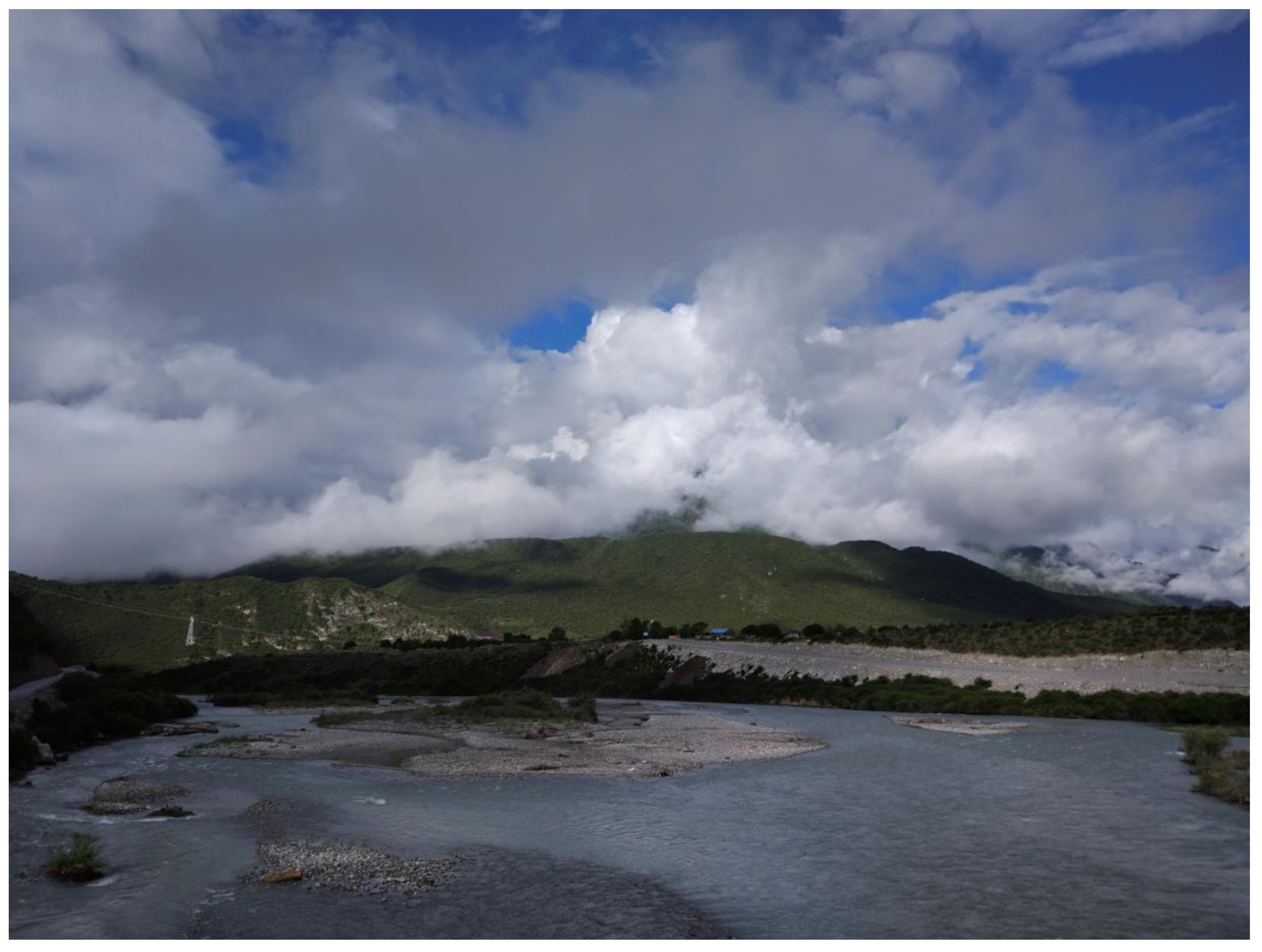 Microorganisms 08 00509 g001b Microorganisms 08 00509 g001b