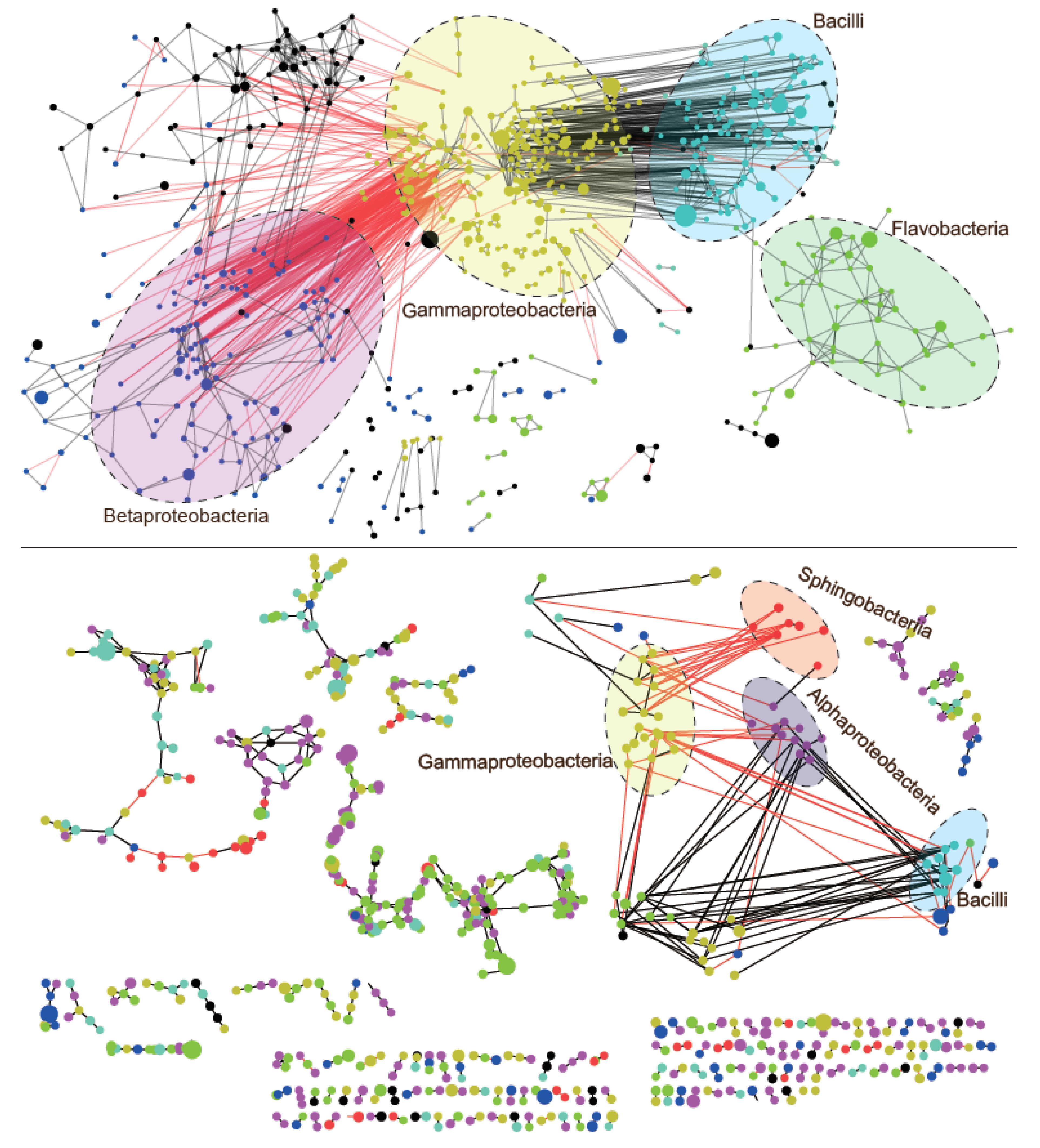 Microorganisms 08 00509 g006 Microorganisms 08 00509 g006
