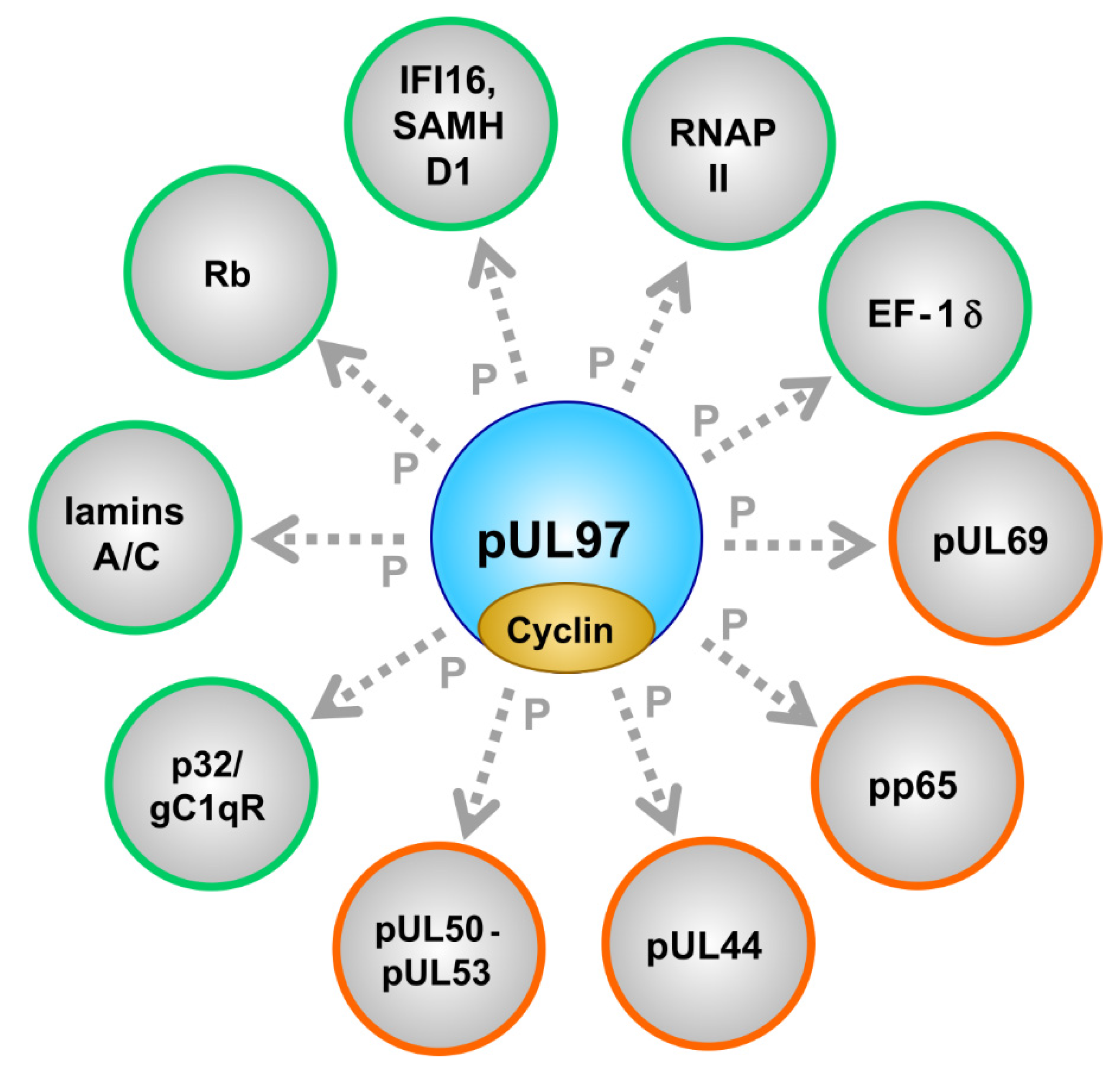 Microorganisms 08 00515 g002 Microorganisms 08 00515 g002
