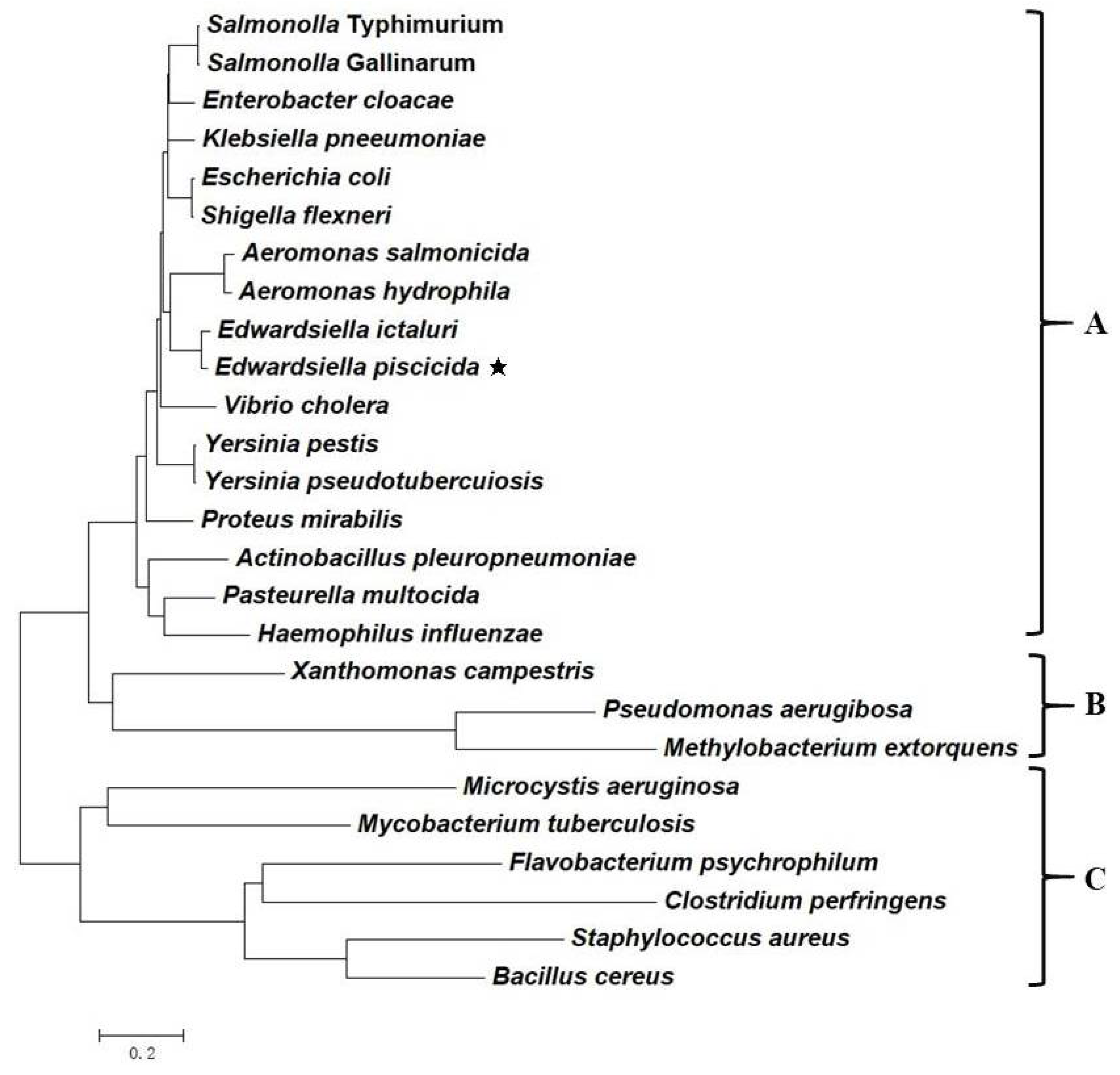 Microorganisms 08 00517 g001 Microorganisms 08 00517 g001