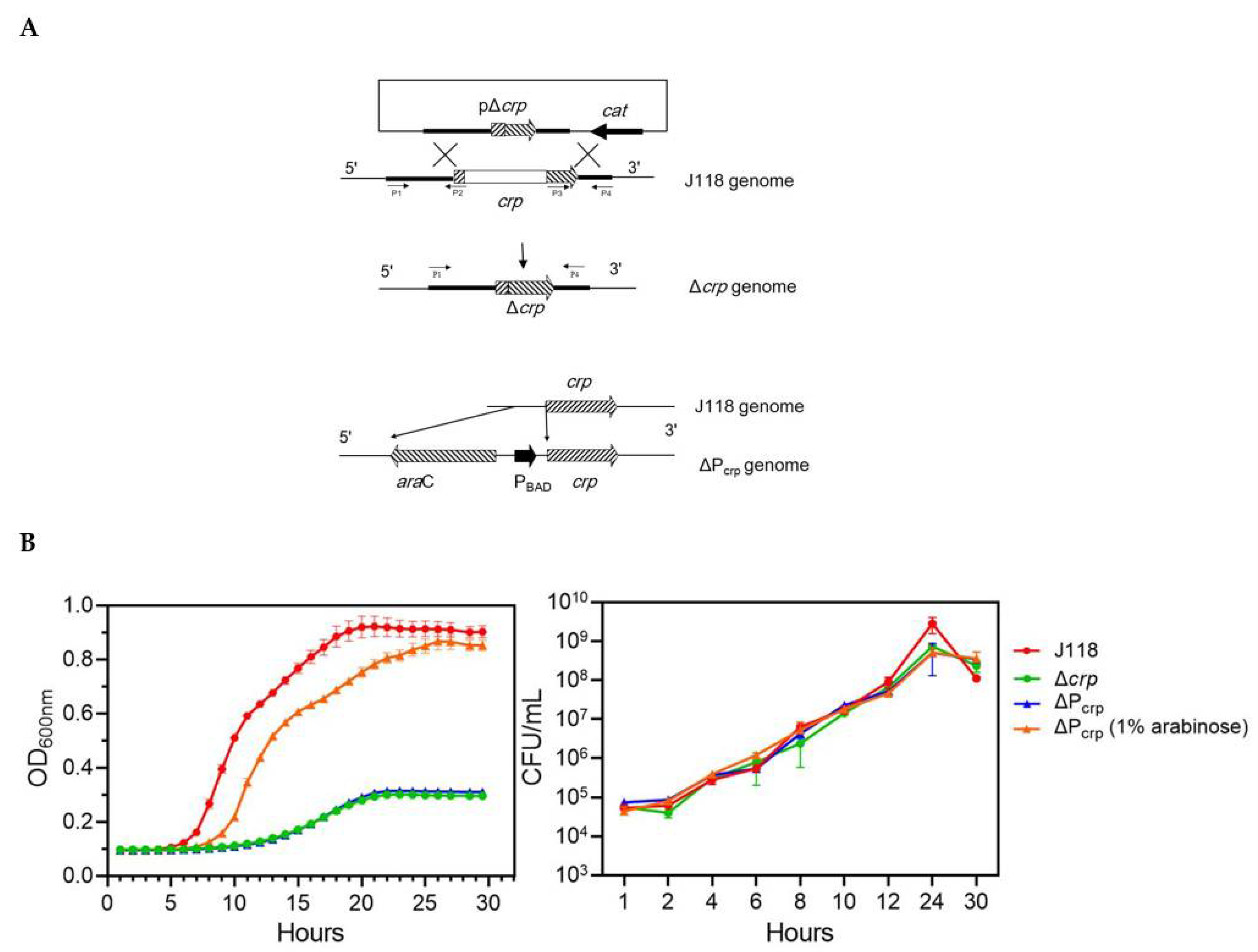 Microorganisms 08 00517 g003 Microorganisms 08 00517 g003