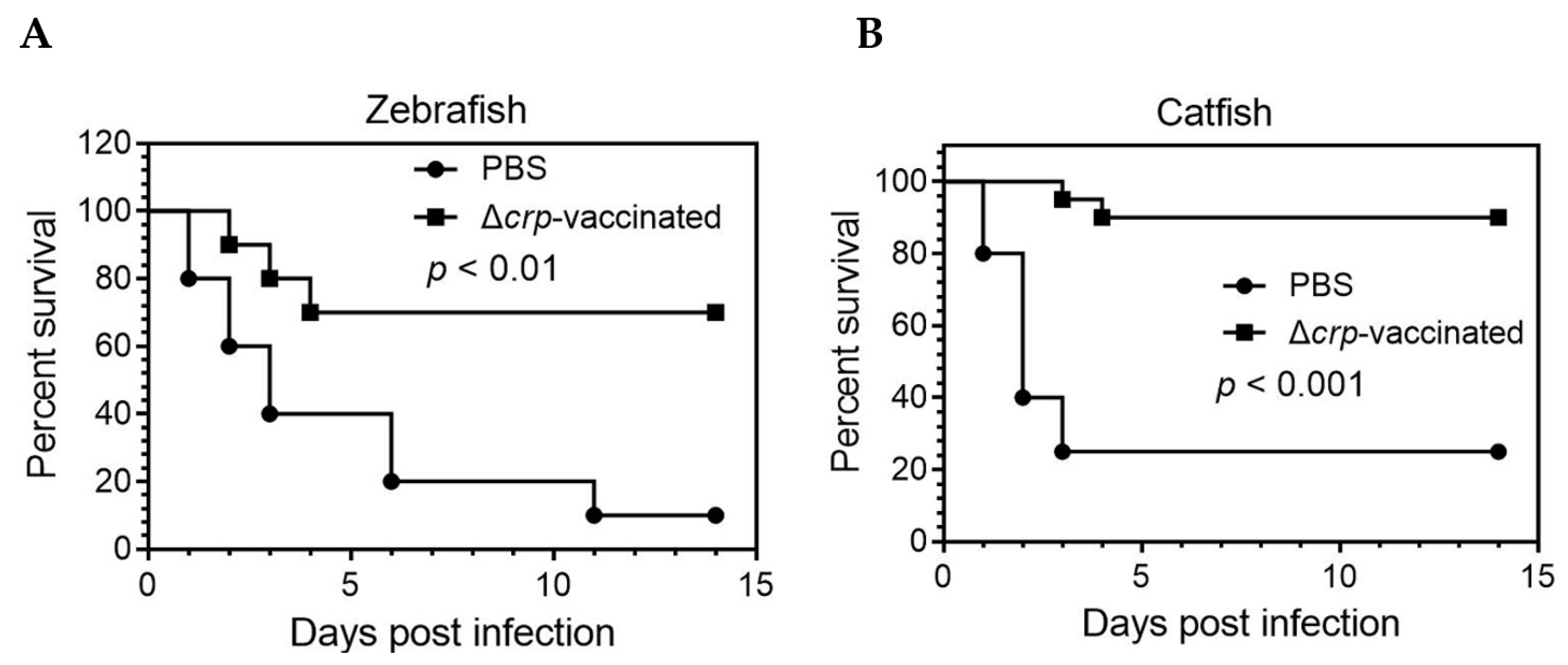 Microorganisms 08 00517 g007 Microorganisms 08 00517 g007