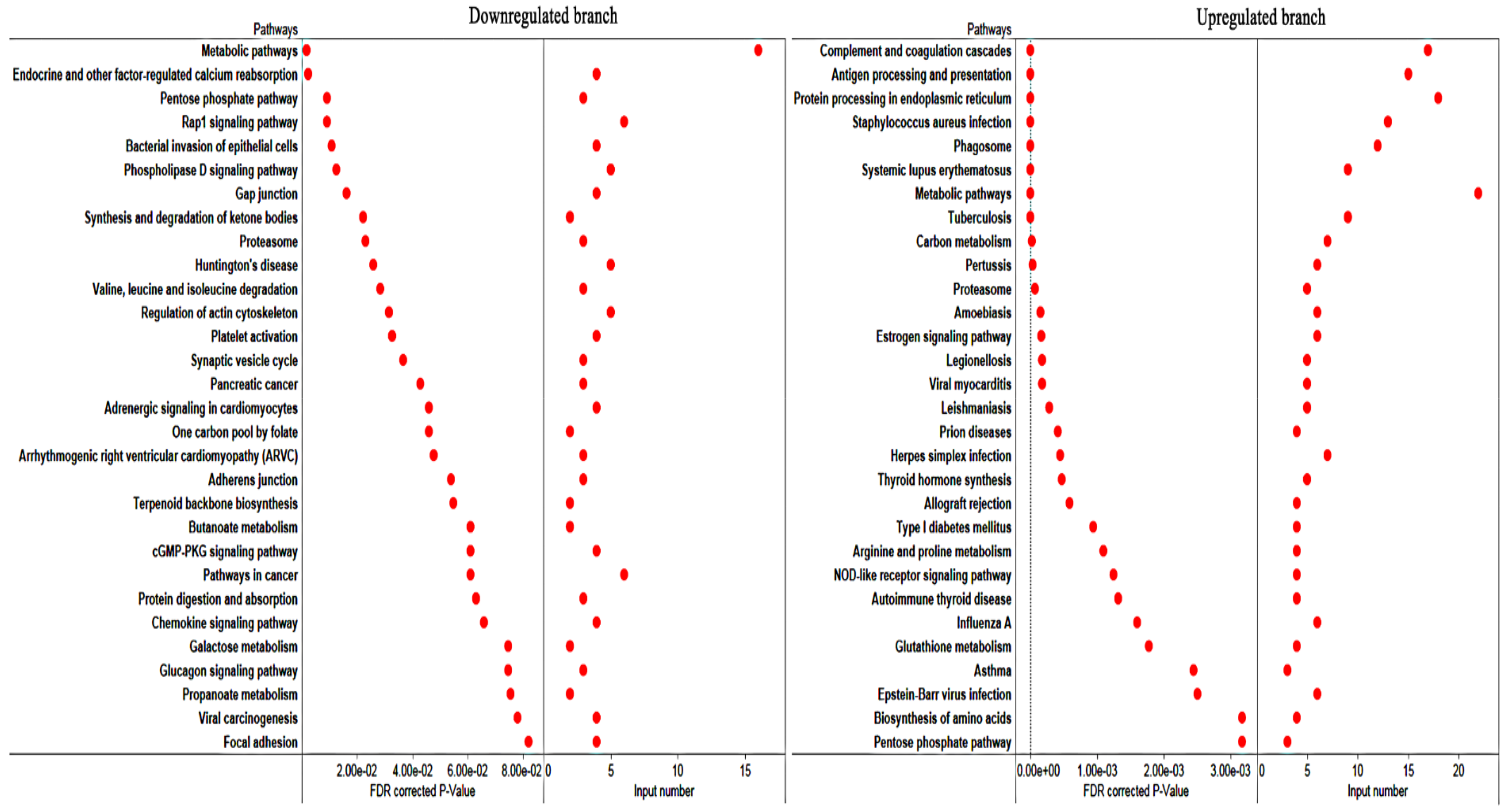 Microorganisms 08 00518 g006 Microorganisms 08 00518 g006