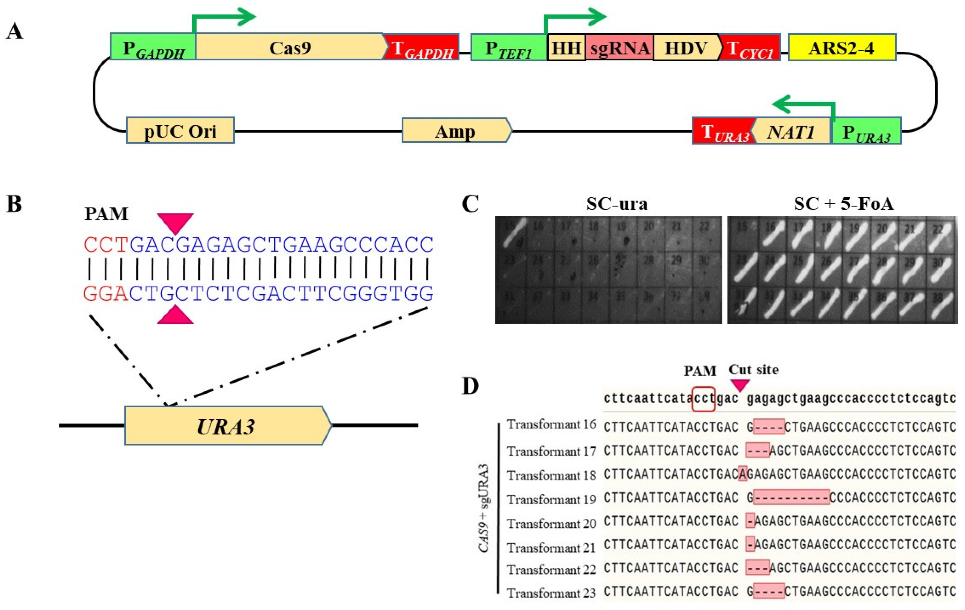 Microorganisms 08 00526 g002