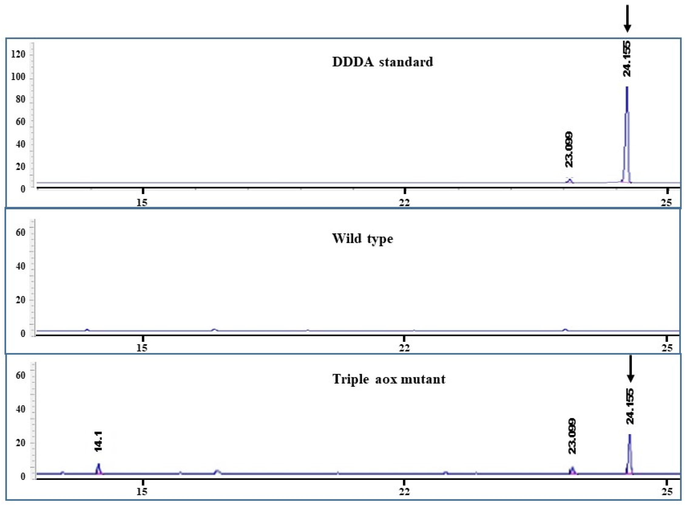 Microorganisms 08 00526 g004