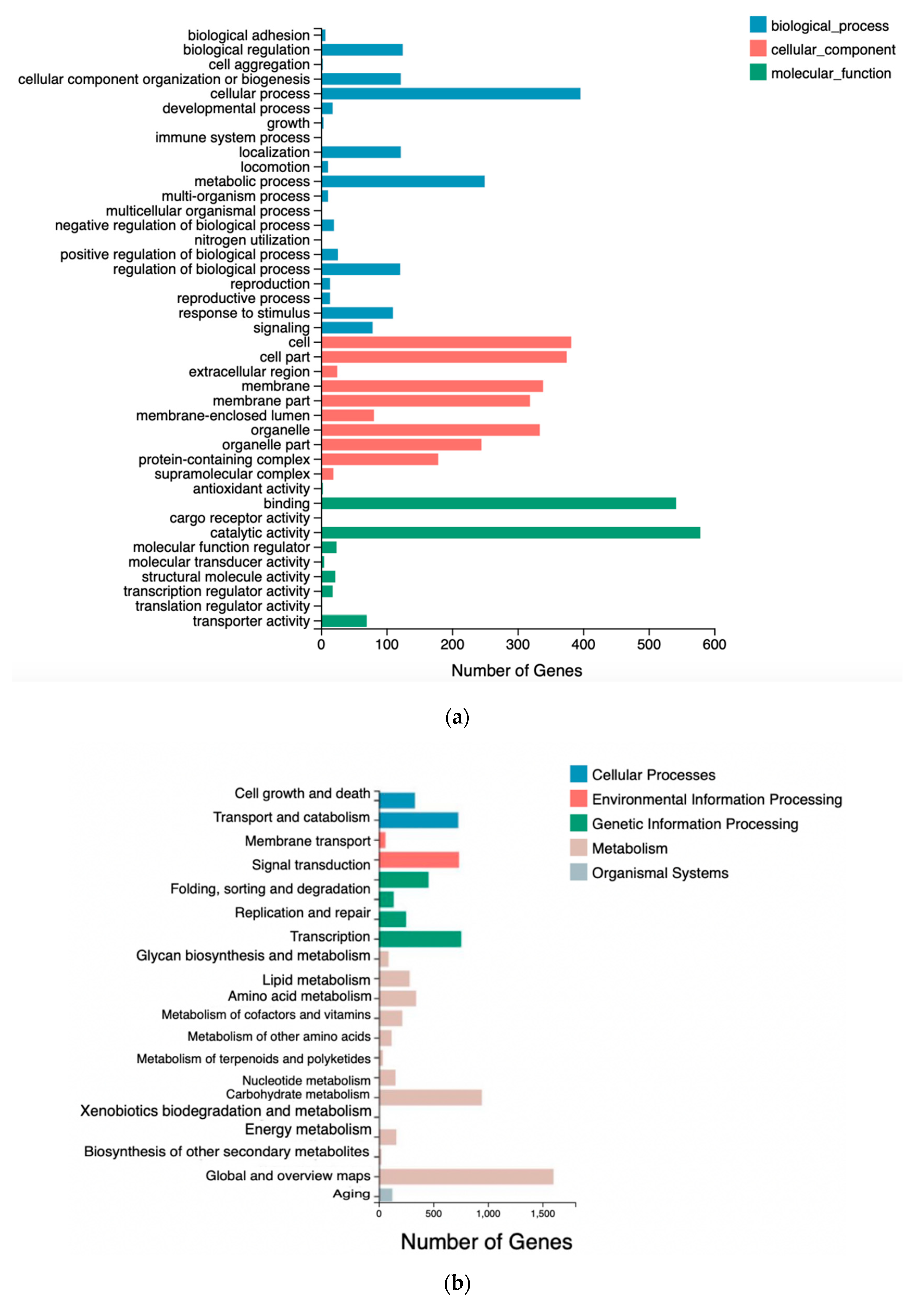 Microorganisms 08 00529 g005