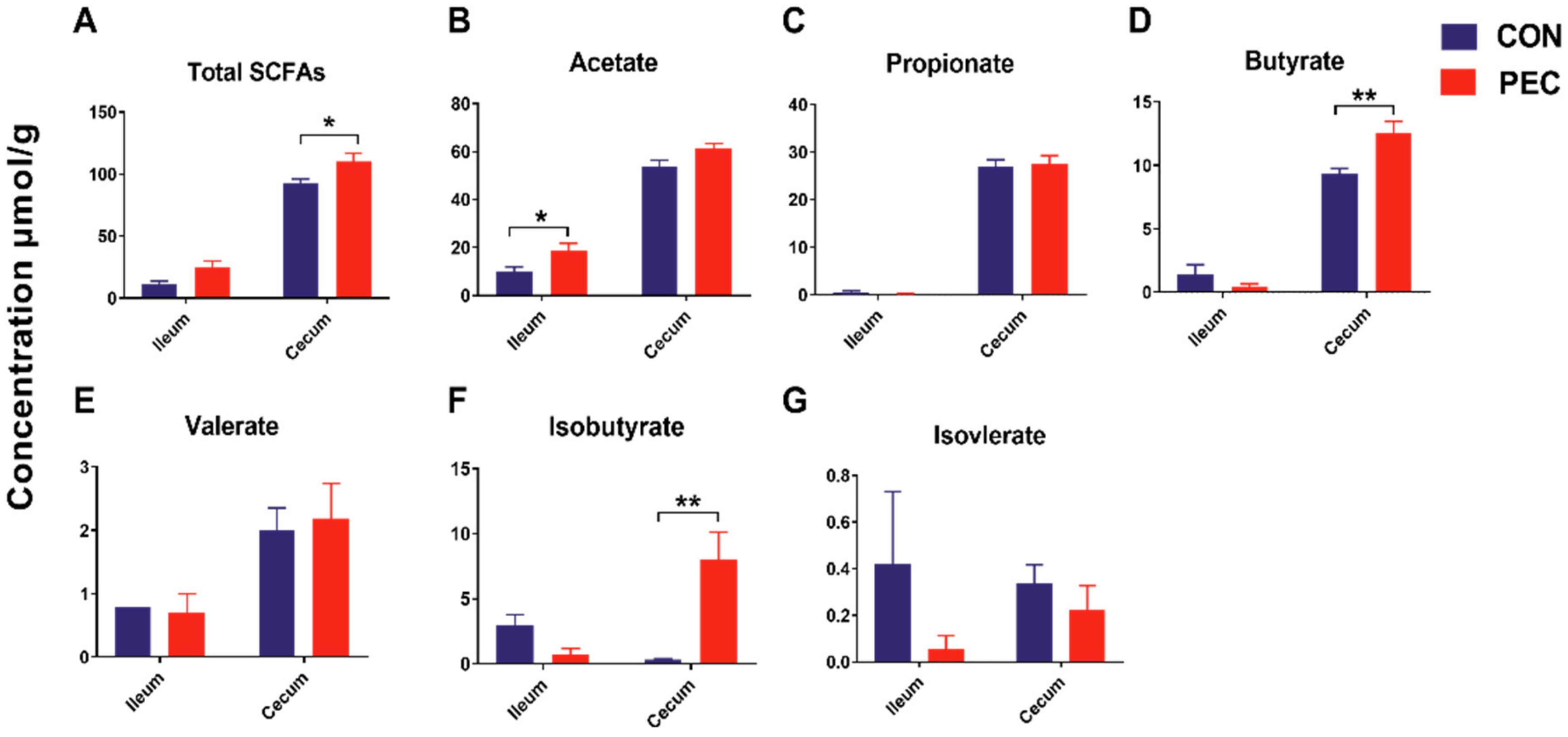 Free FullText Modulation of Pectin on Mucosal
