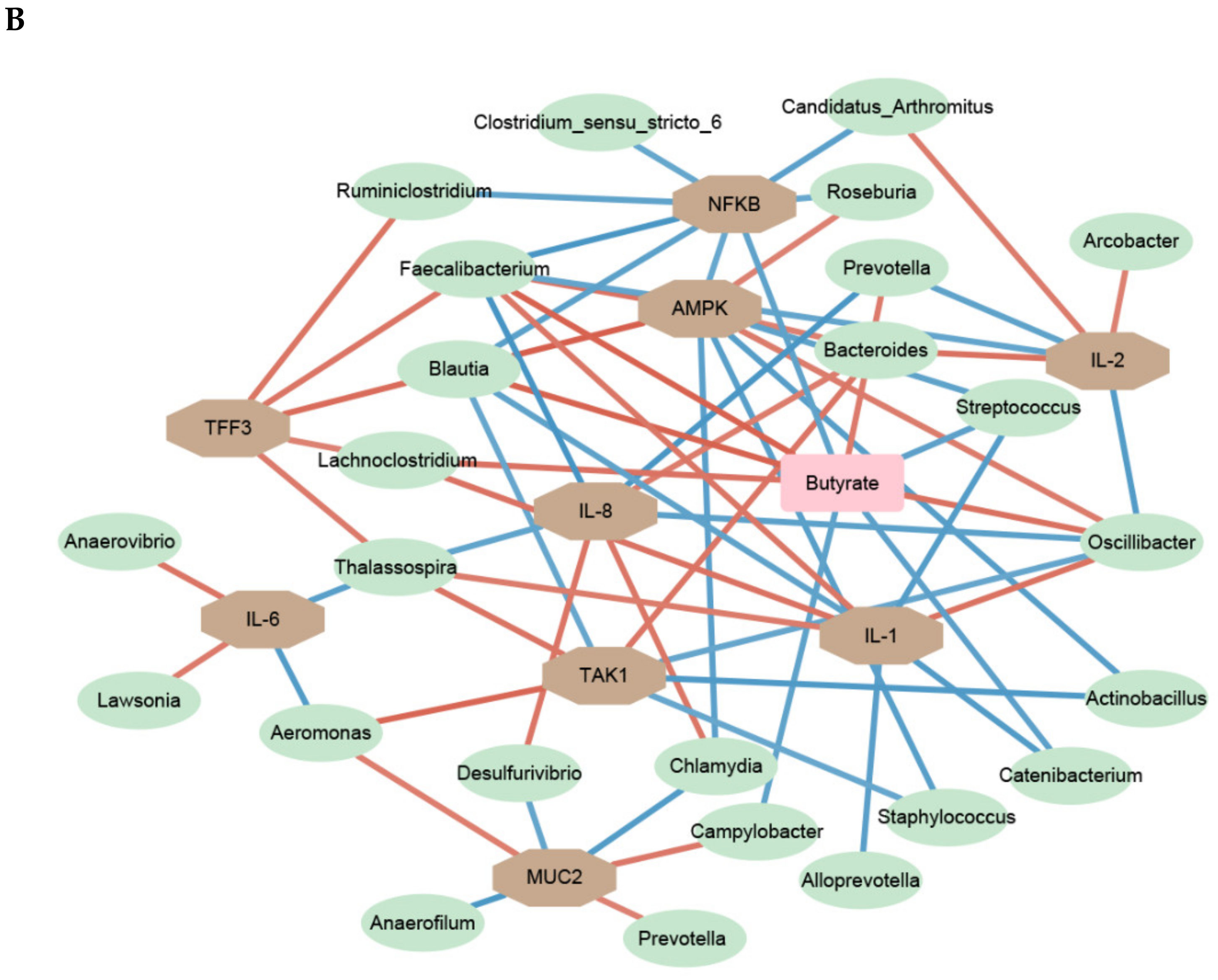 Free FullText Modulation of Pectin on Mucosal
