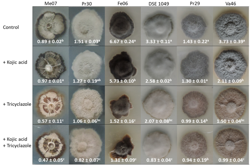 Microorganisms 08 00537 g002 Microorganisms 08 00537 g002
