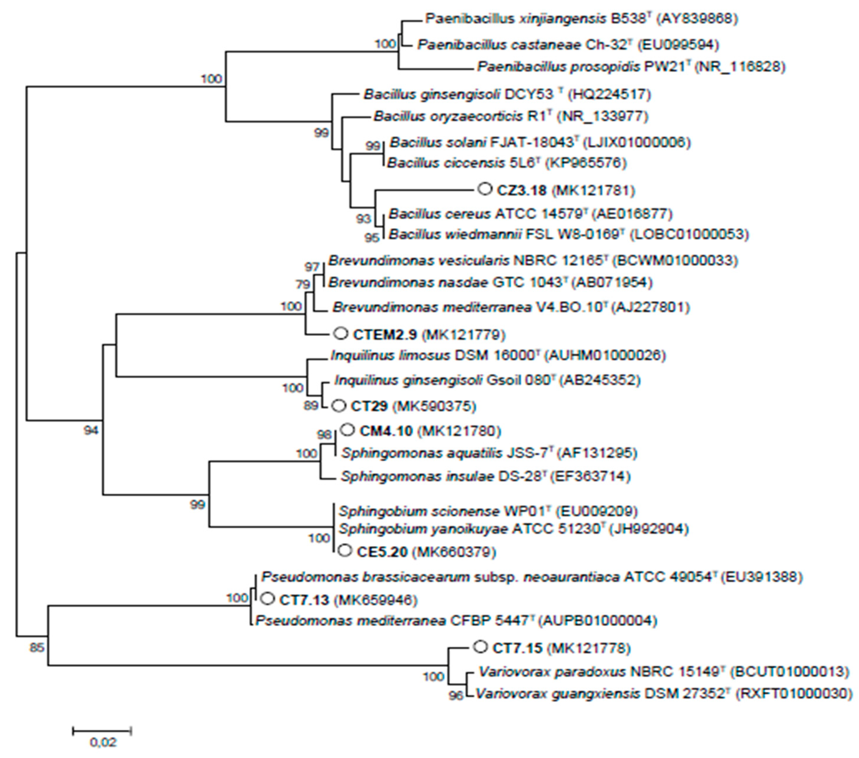 Microorganisms 08 00541 g004 Microorganisms 08 00541 g004